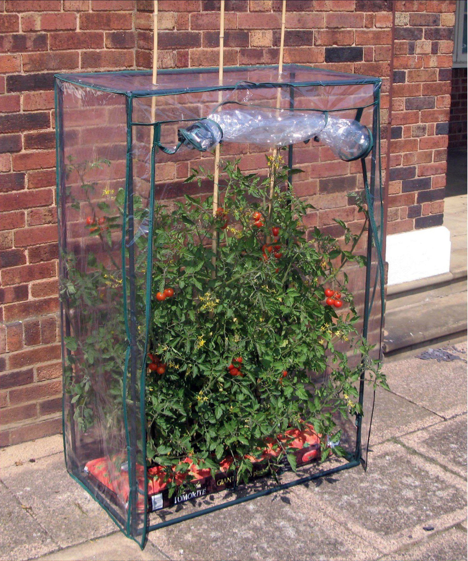 GartenHero Foliengewächshaus Tomaten Gewächshaus Frühbeet Treibhaus günstig online kaufen