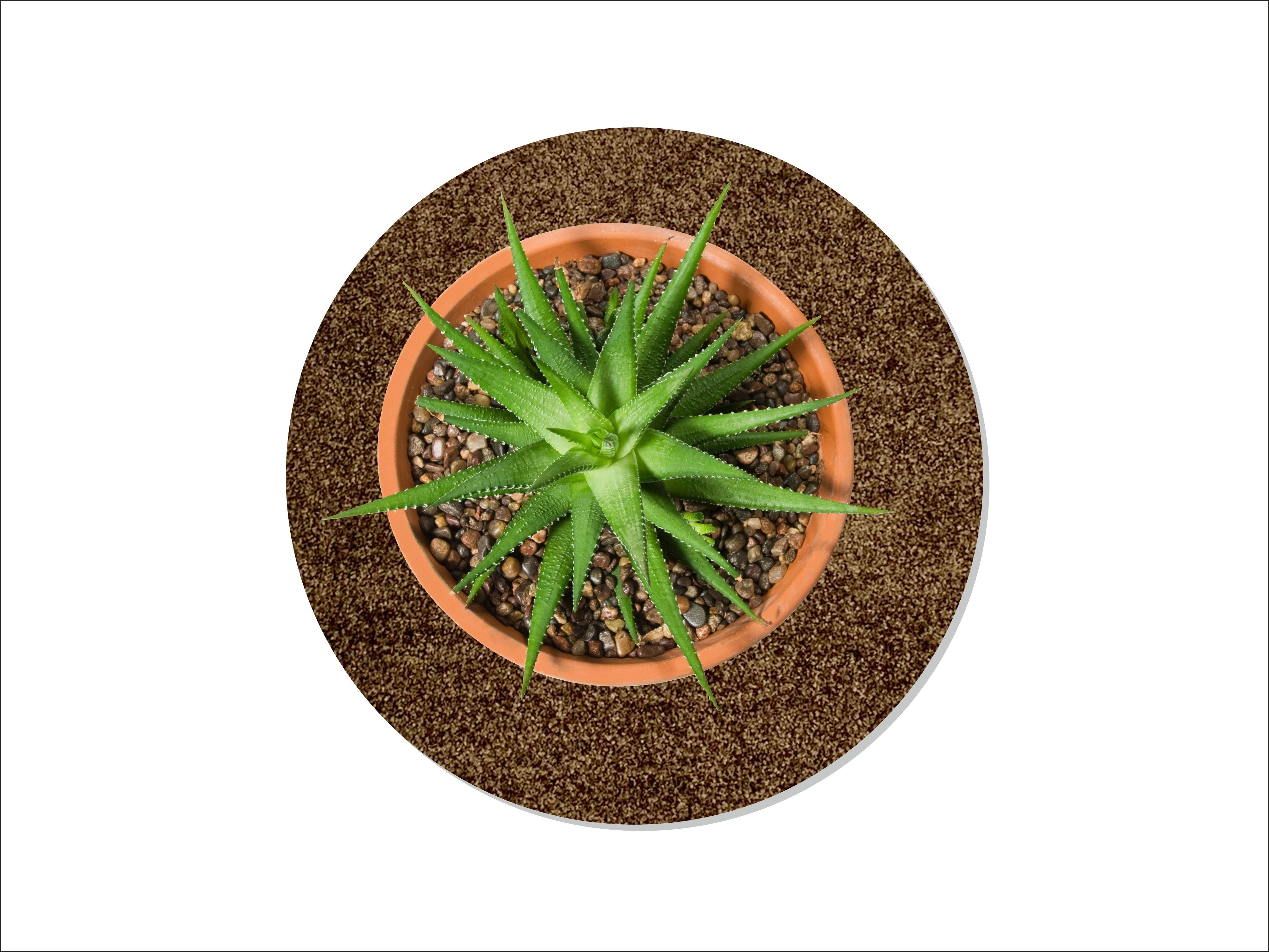 Keilbach Designprodukte Blumentopfuntersetzer Blumentopfunterlage flora-s Ø günstig online kaufen