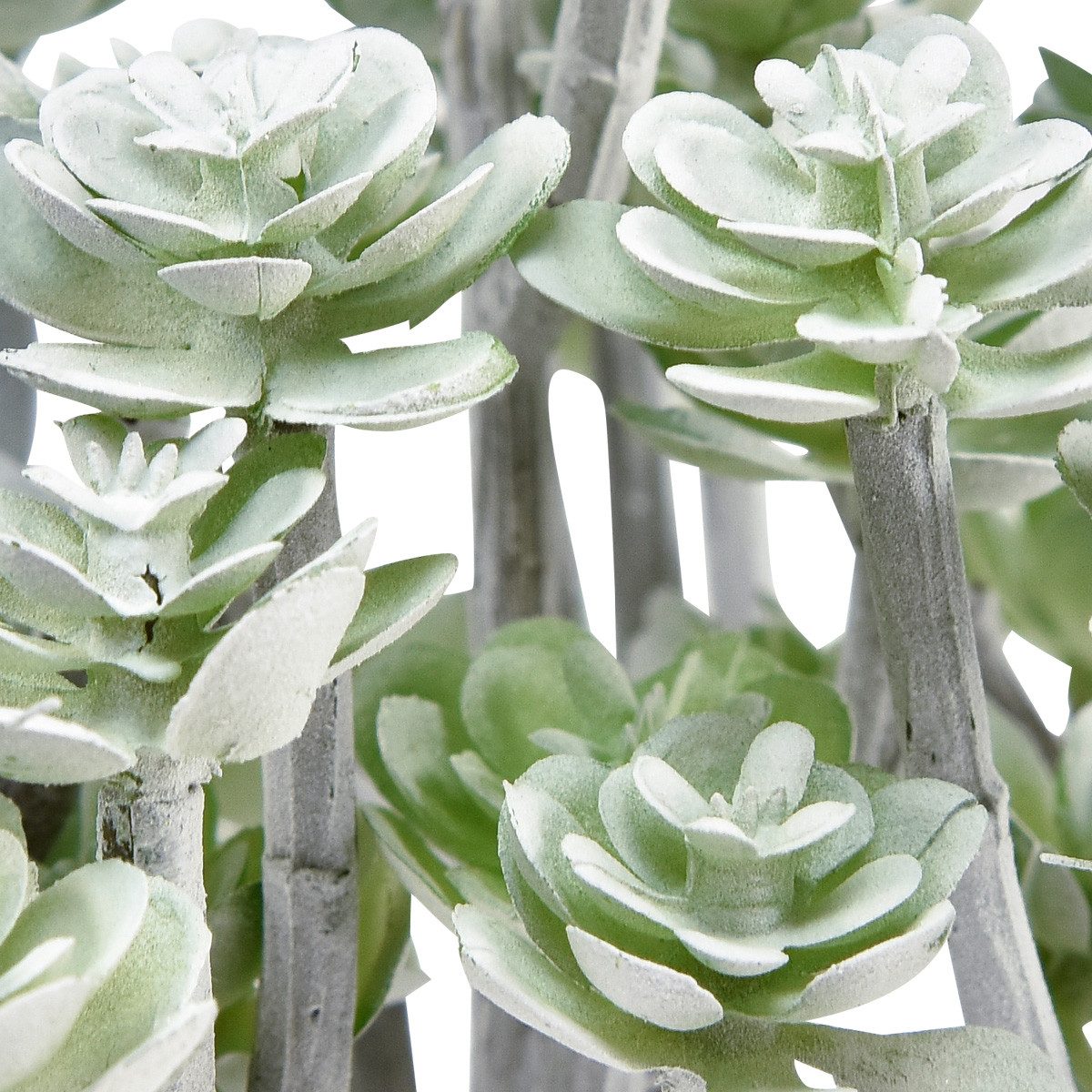 Kunstkaktus Fetthenne Künstliche Sukkulenten Deko 16cm günstig online kaufen