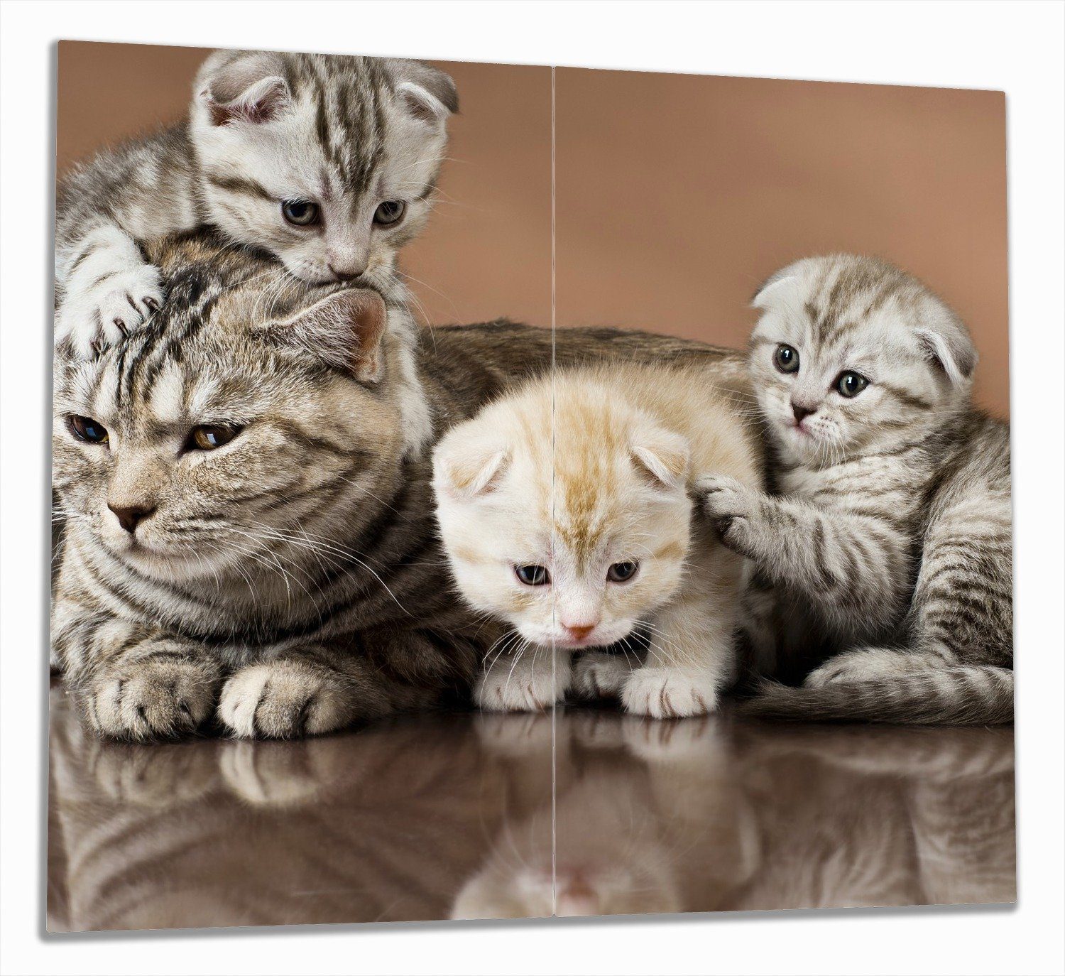 Wallario Herd-Abdeckplatte Katzenfamilie, ESG-Sicherheitsglas, (Glasplatte, 2 tlg., inkl. 5mm Noppen), verschiedene Größen