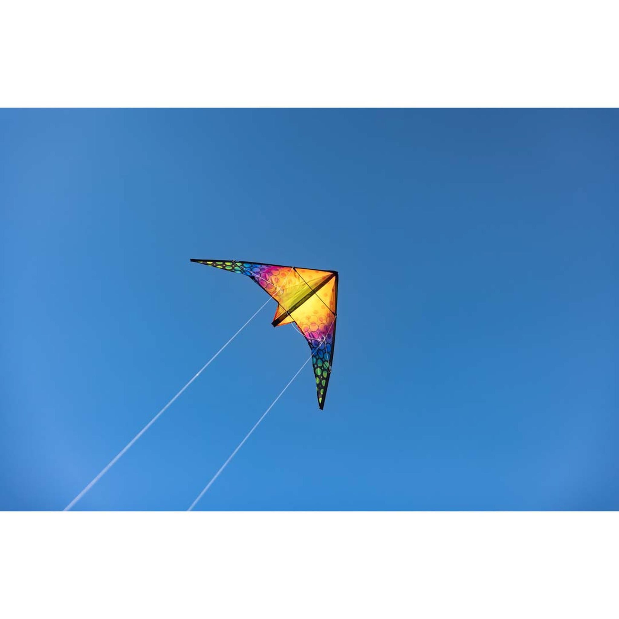 Invento Flug-Drache Ecoline Lenkdrachen Quick Rainbow Bubbles