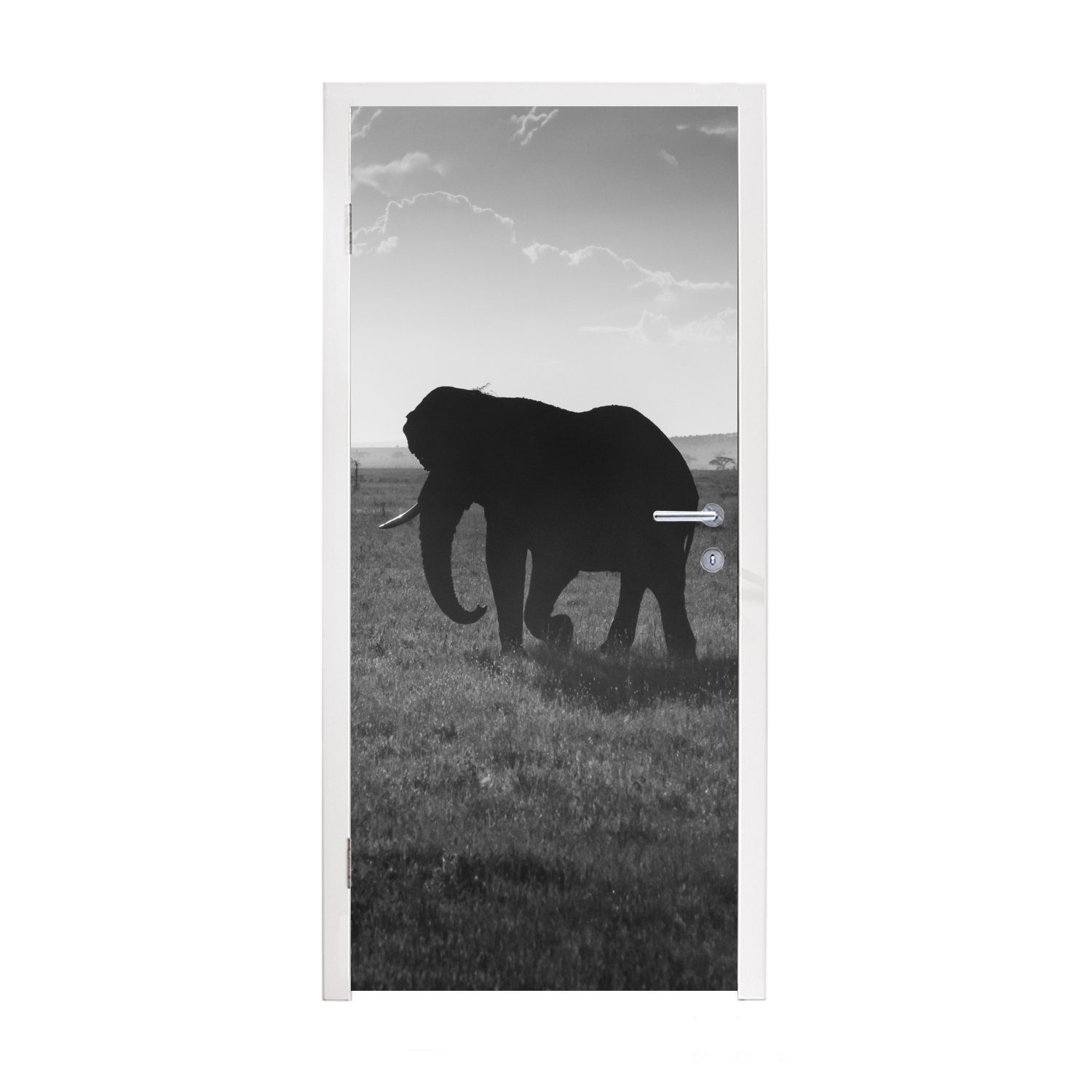 cm - und MuchoWow Einfarbig Schwarz weiß, 75x205 - Elefant St), Fototapete Türtapete Türaufkleber, für Tür, - bedruckt, (1 Tiere Matt,