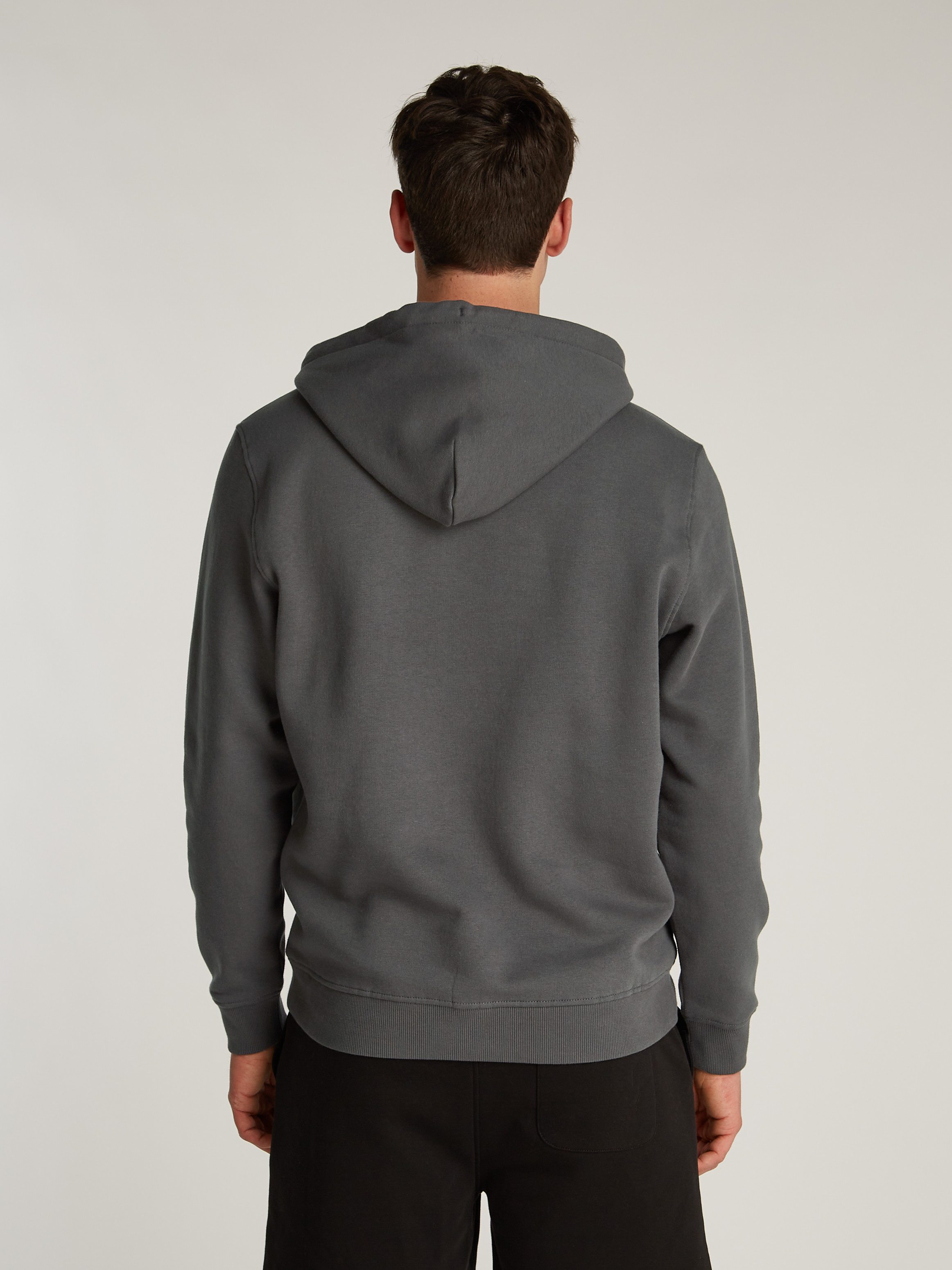 Tommy Jeans Plus Hoodie TJM REG günstig online kaufen
