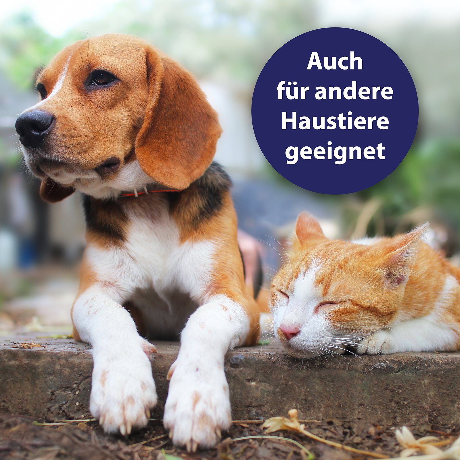Canosept Fellpflege Canosept Hautpflege Spray für Hunde 250ml