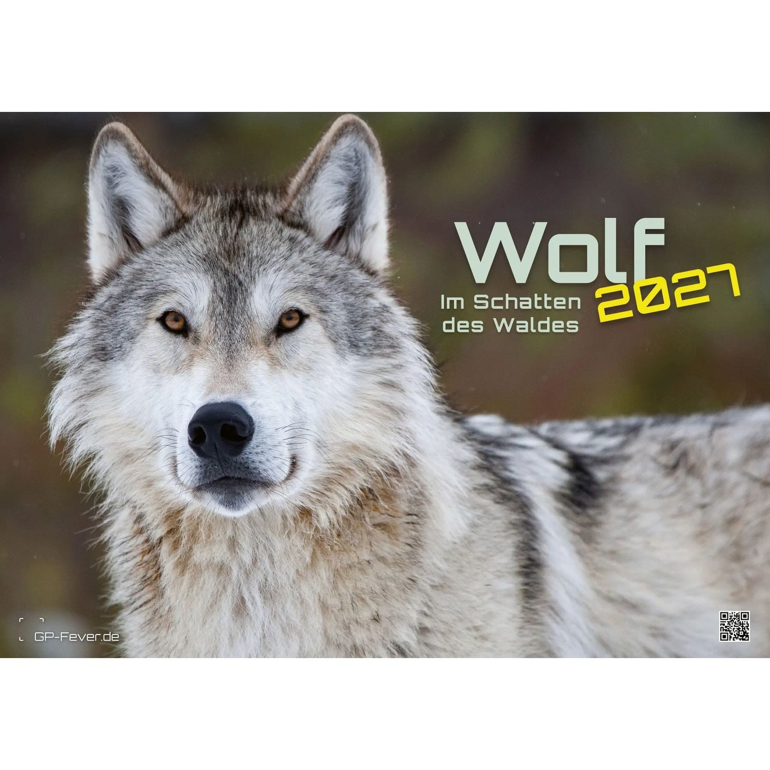 Wandkalender Wolf - Im Schatten des Waldes - 2027 - Kalender DIN A2