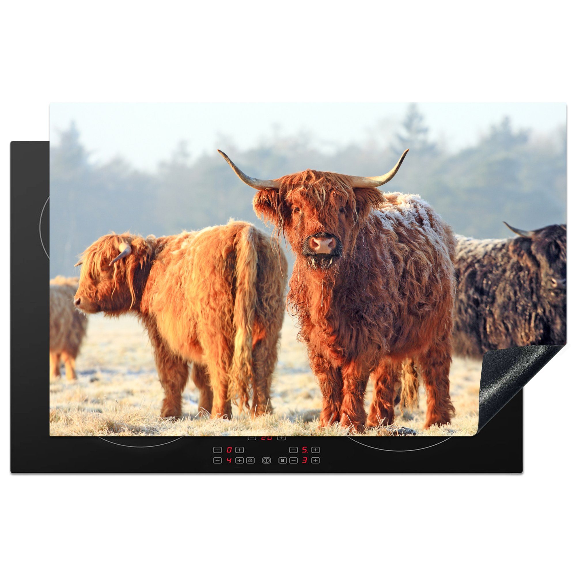 Winter, Induktionskochfeld cm, Schottische 81x52 Highlander - tlg), MuchoWow Schutz (1 küche, Ceranfeldabdeckung die Herdblende-/Abdeckplatte für Vinyl,