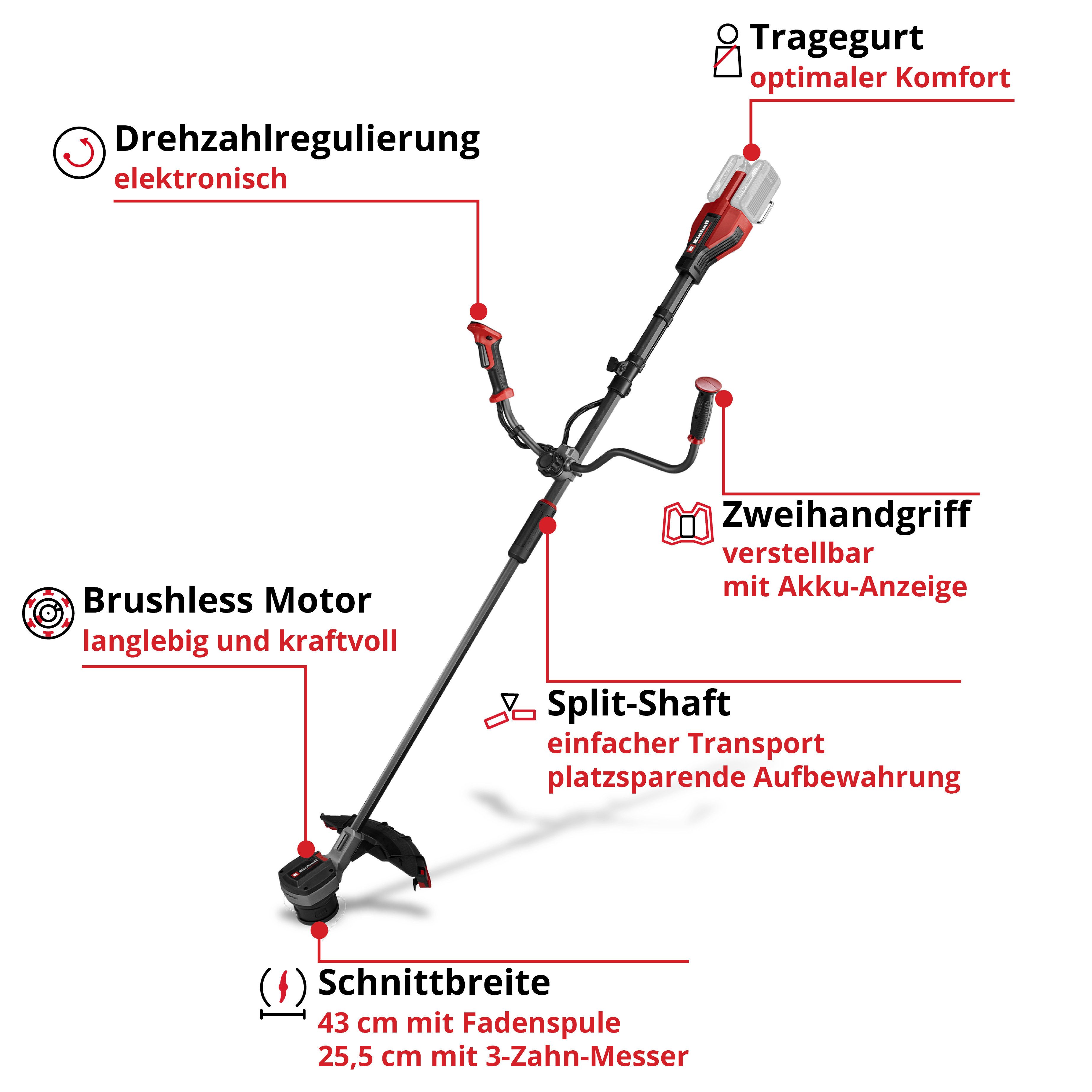 Einhell Akku-Motorsense GP-BC 36/430 Li BL-Solo, 25,5 cm Arbeitsbreite Mess günstig online kaufen