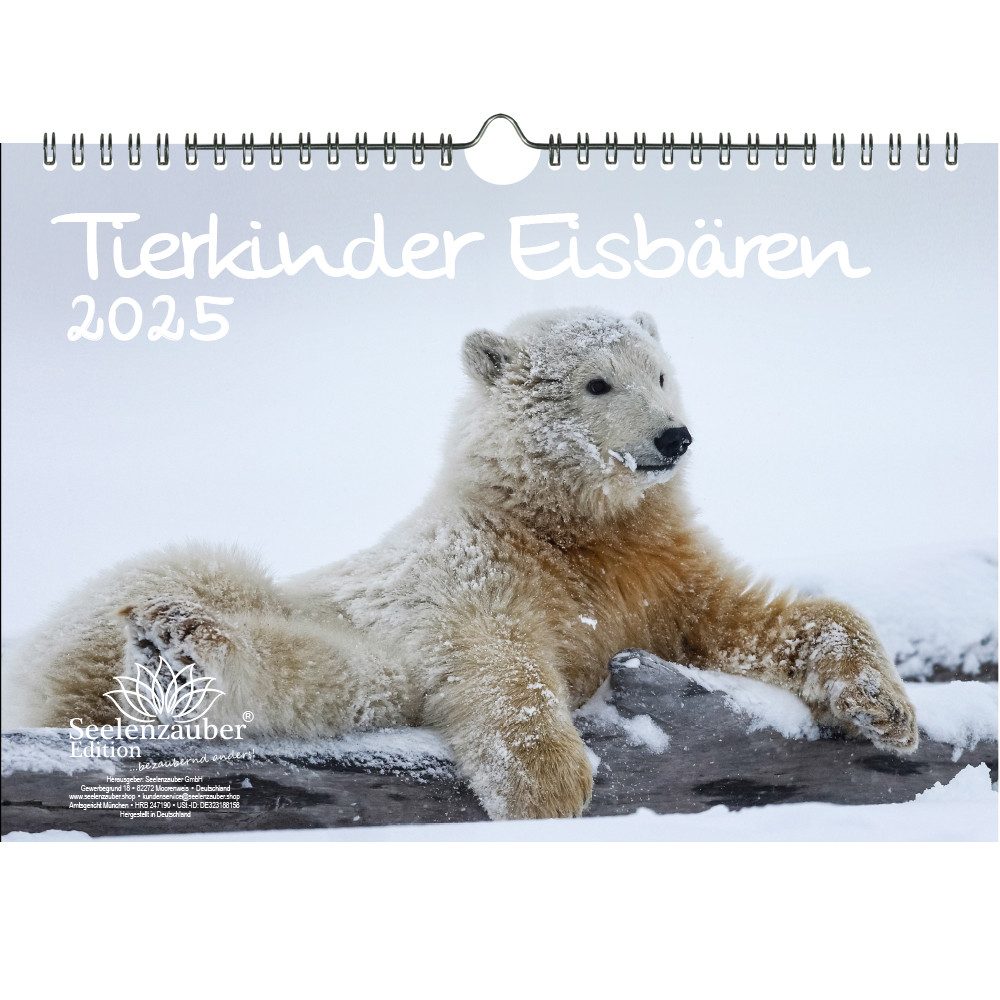 Seelenzauber Wandkalender Tierkinder Eisbären DIN A4 Kalender für 2025
