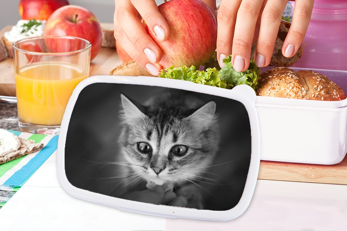 MuchoWow Lunchbox Tierprofil Mädchen Jungs und (2-tlg), für riechende Katze in weiß, für Kinder und Brotbox Kunststoff, Erwachsene, Brotdose, und schwarz