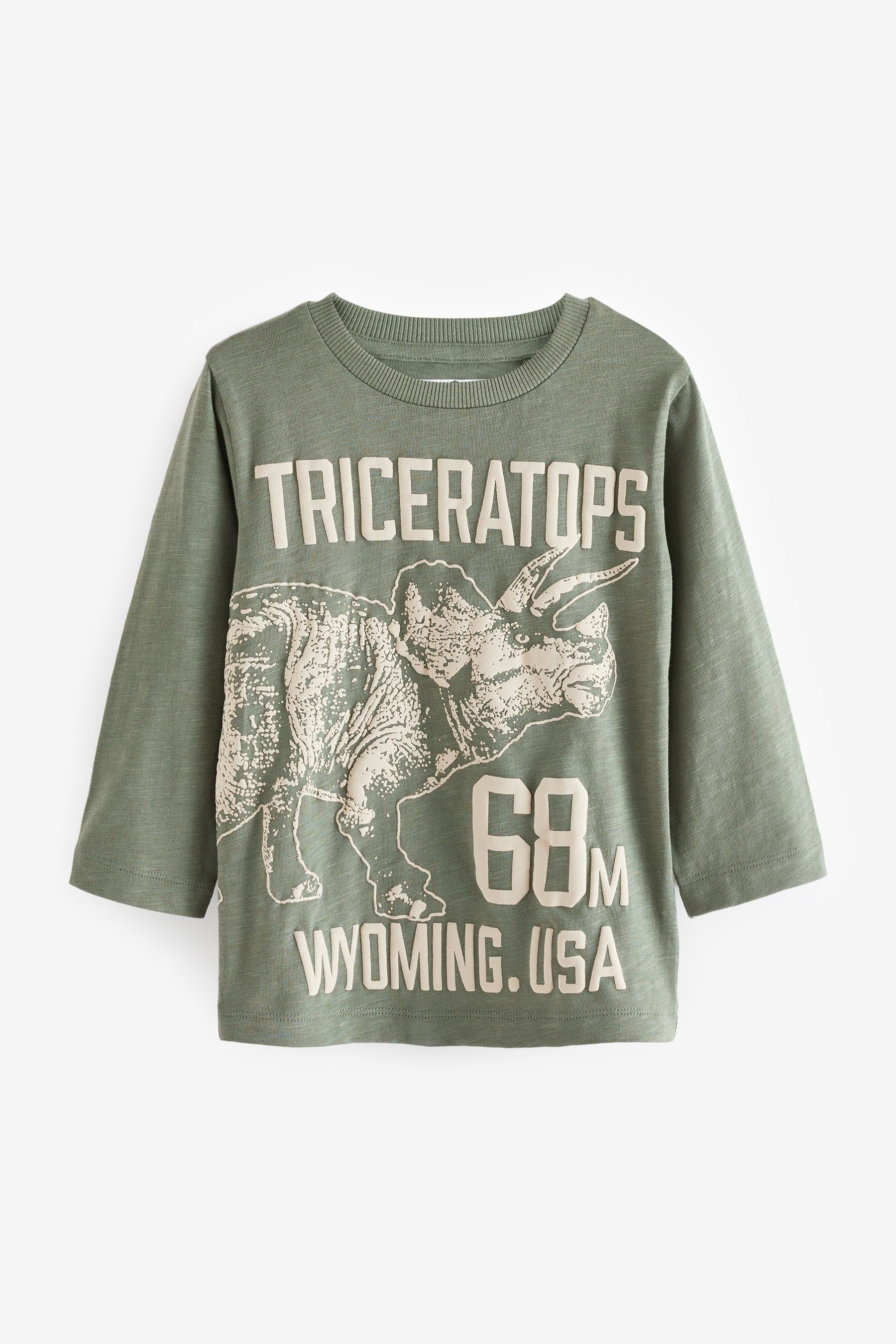 Triceratops Langarmshirt Langärmeliges Next Motiv T-Shirt (1-tlg) Green mit