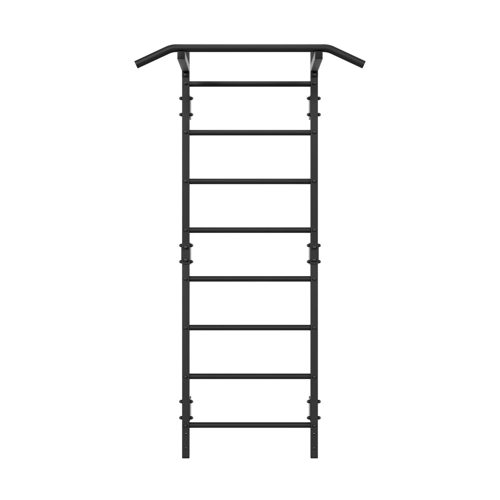 QLS Sprossenwand 10 Sprossen bis 250 kg, Kletterwand Klimmzugstange Klettergerüst Schwarz Stahl 228 cm