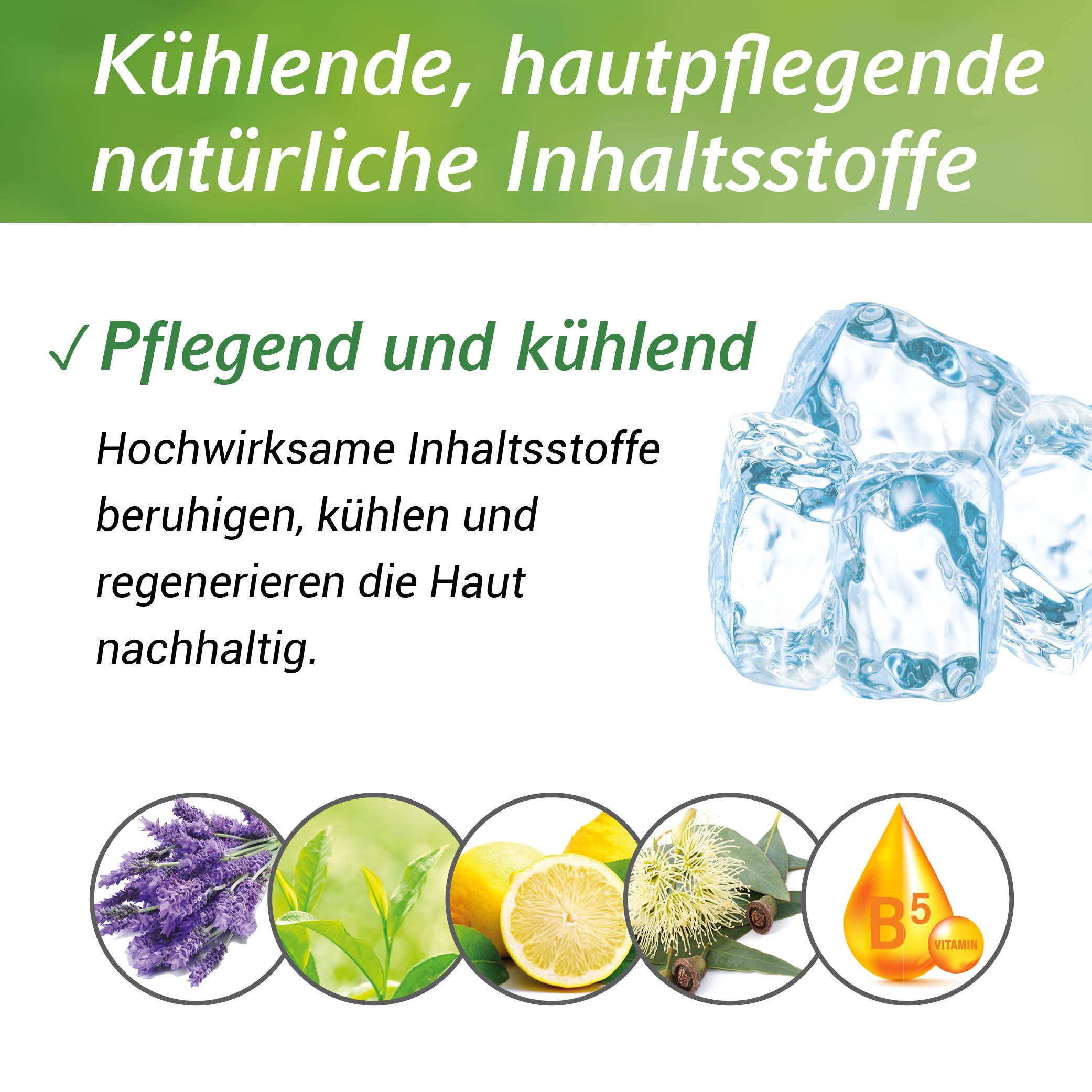 Dr. Ehrlichs Gesundkatalog. Insektenstich-Gel Dr. Ehrlichs Insektenstich Roll-on - Natürliche Linderung bei Stichen, mit 20 ml Inhalt