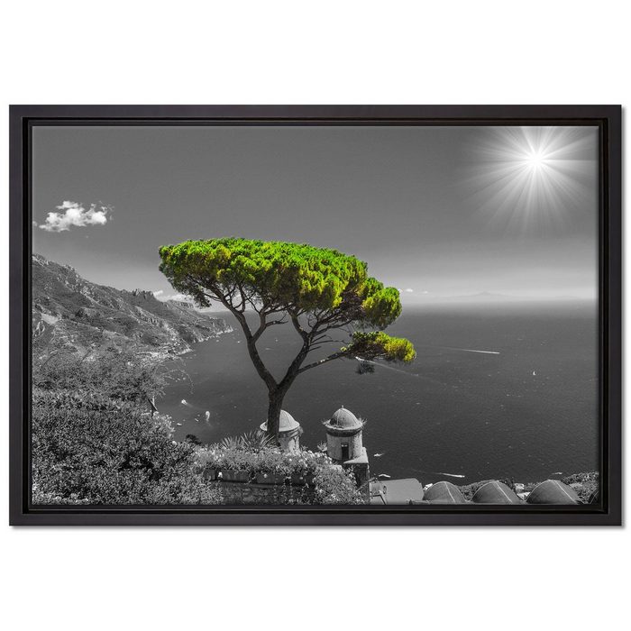Pixxprint Leinwandbild Baum am Mittelmeer Wanddekoration (1 St) Leinwandbild fertig bespannt in einem Schattenfugen-Bilderrahmen gefasst inkl. Zackenaufhänger