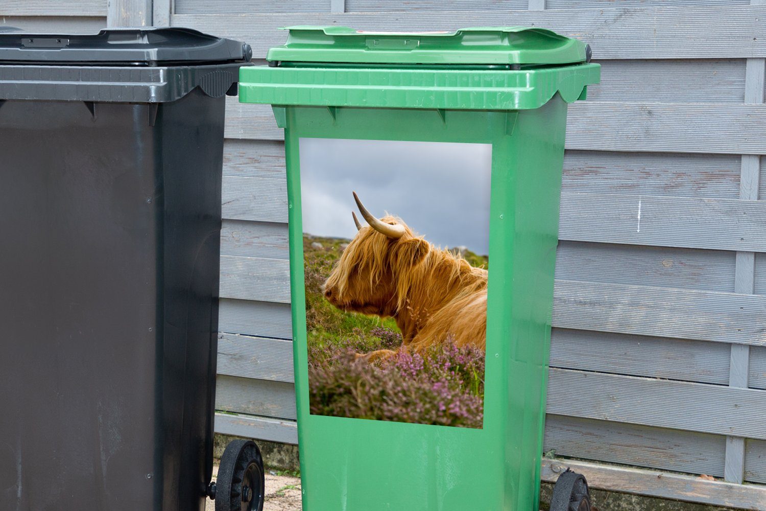 Abfalbehälter - Scottish St), - Mülltonne, Blumen Container, Mülleimer-aufkleber, MuchoWow Gras (1 Wandsticker Sticker, Highlander