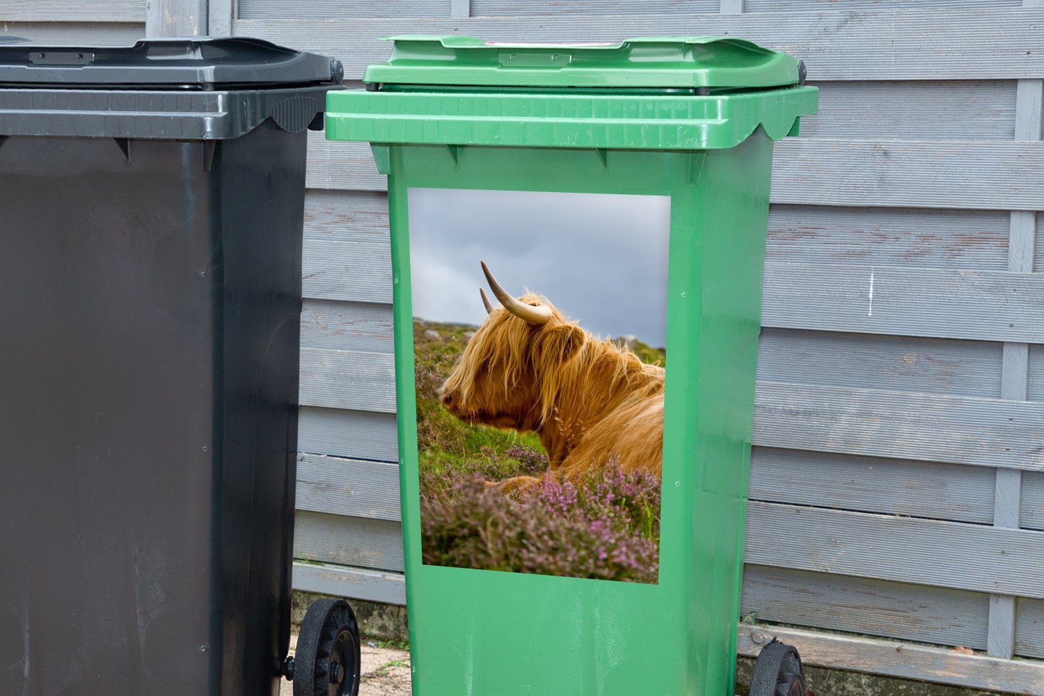 Abfalbehälter - Gras Container, Sticker, (1 Blumen St), Mülleimer-aufkleber, Wandsticker Mülltonne, - Scottish Highlander MuchoWow