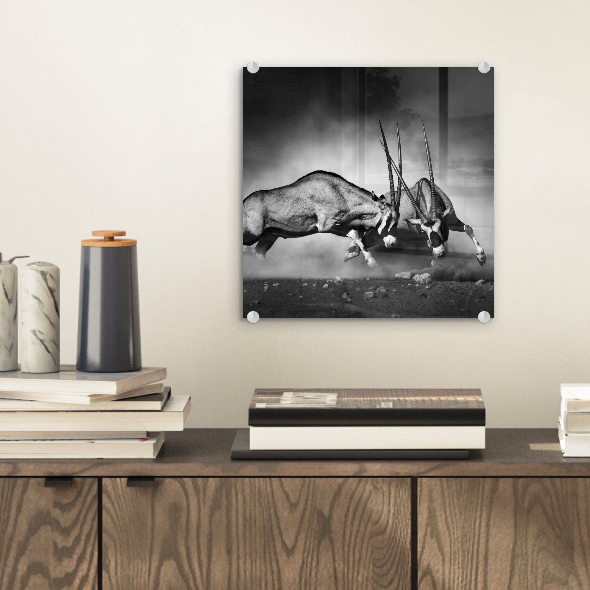 MuchoWow Acrylglasbild Antilope - Schwarz und günstig online kaufen