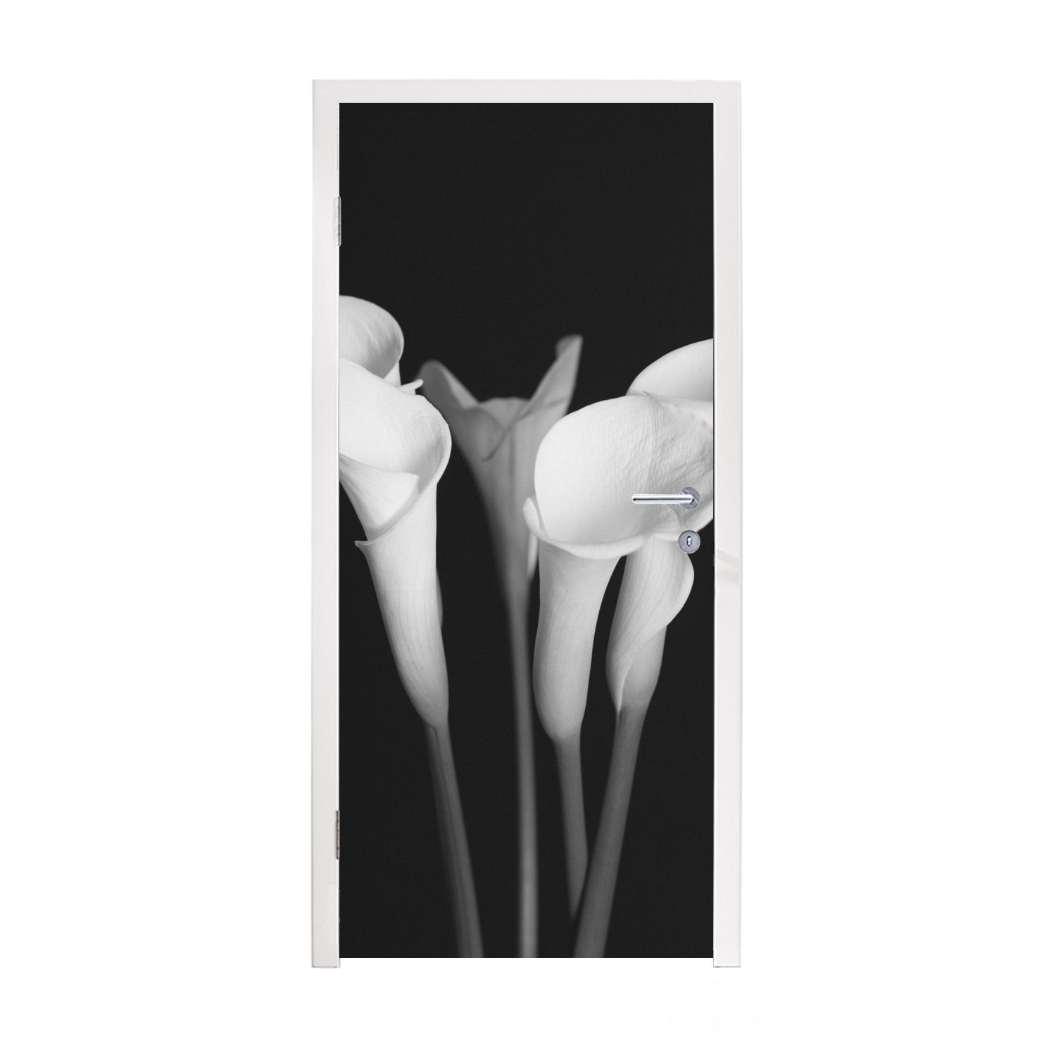 MuchoWow Türtapete Eine Nahaufnahme von Calla-Lilien-Blüten auf schwarzem Hintergrund, Matt, bedruckt, (1 St), Fototapete für Tür, Türaufkleber, 75x205 cm
