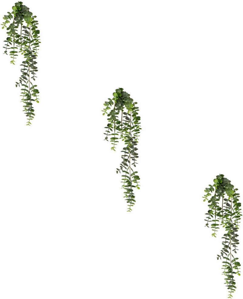 Kunstranke Eukalyptus-Hängezweig Eukalypthus, Creativ green, Höhe 63 cm