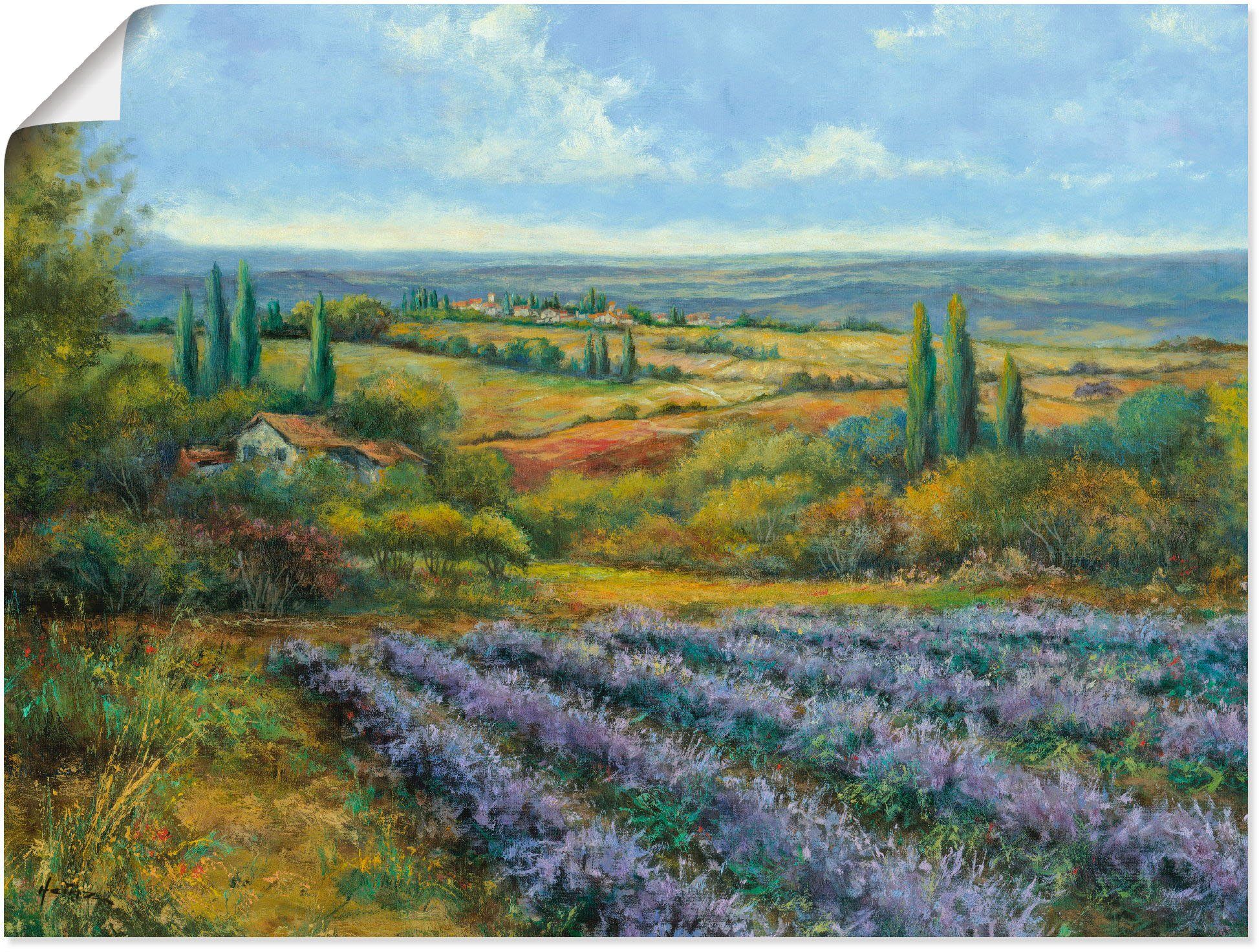 als Alubild, Wandaufkleber der Artland Leinwandbild, Provence, Europa Größen Lavendelfelder Wandbild in (1 versch. Poster oder St), in
