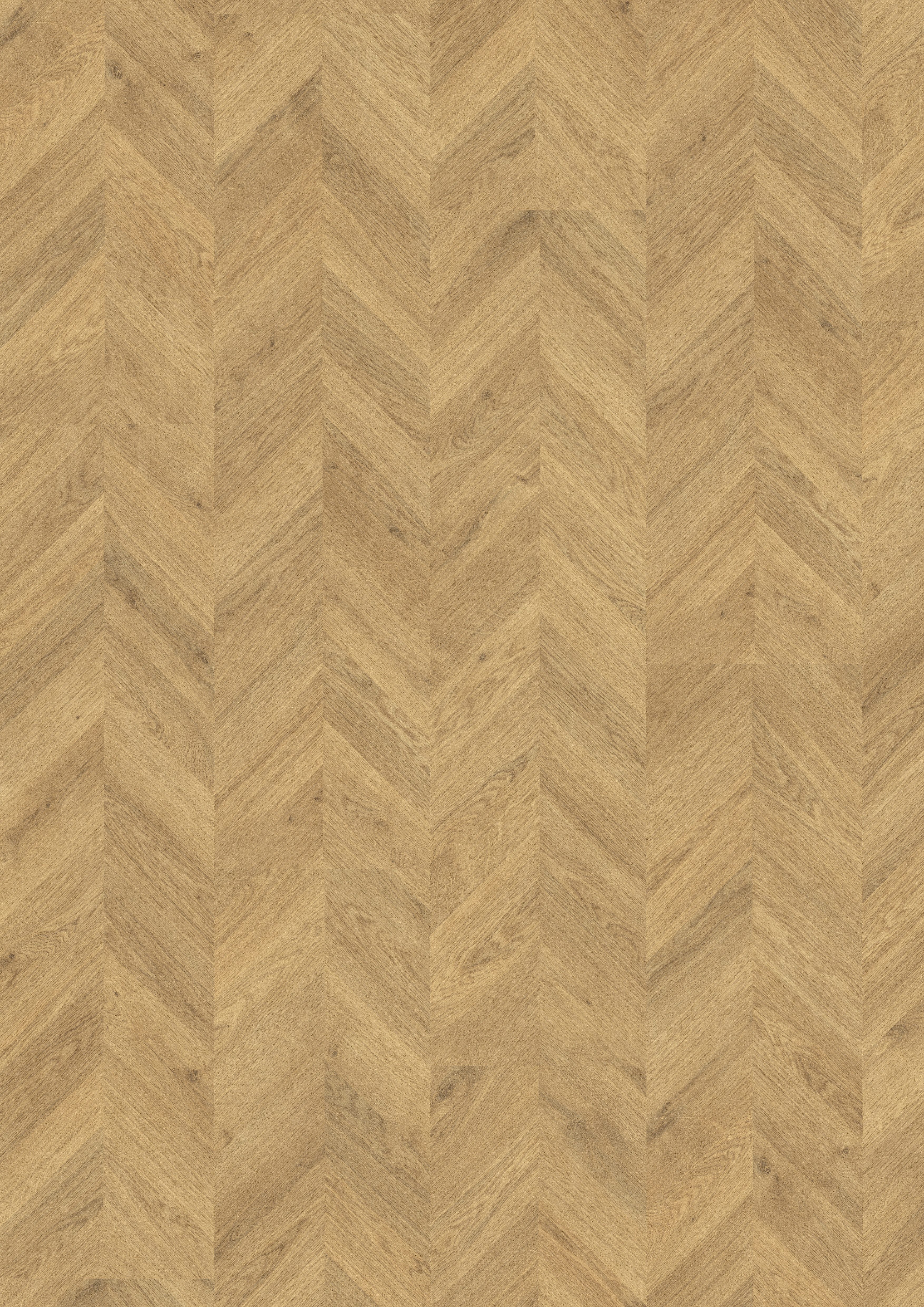 EGGER Laminat NatureSense EL2923 Weinburg Eiche hell, (8mm, 2,535qm), Praktisch & Pflegeleicht