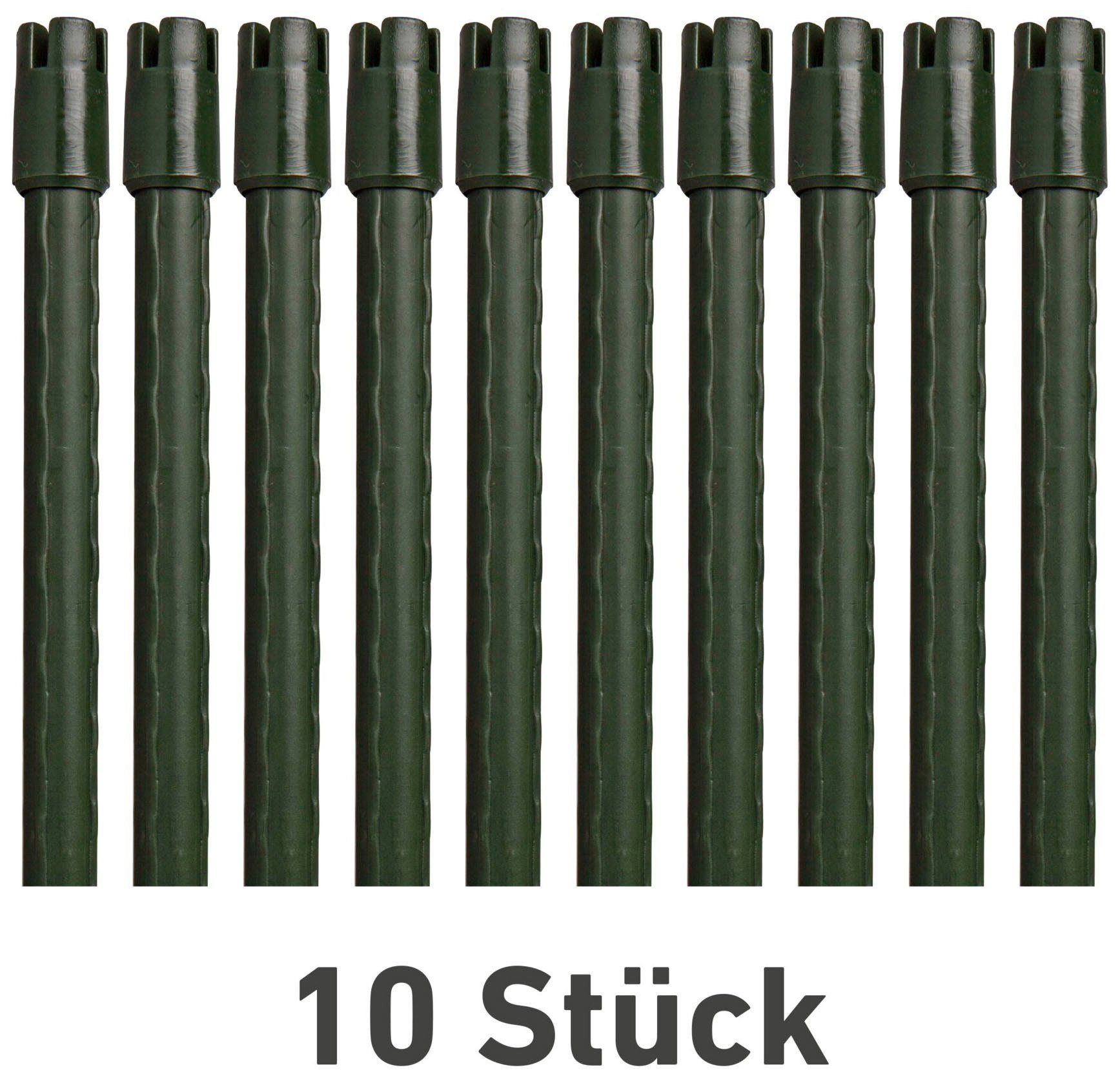 Windhager Rankhilfe Set, 10 St., Tomatenstäbe, grün, H 180 cm