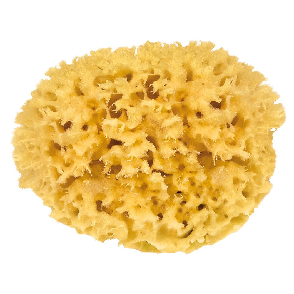 Croll & Denecke Hautpflegeschwamm M 150, Badeschwamm, Mittemeerschwamm Ø 15 cm