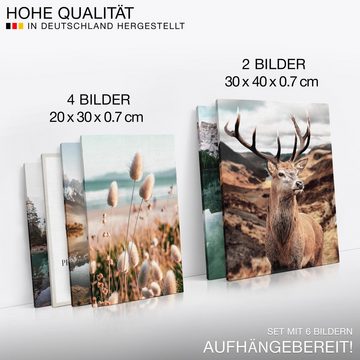 Novart Wandbild Wald Hirsch Natur Berge Bilder Set Aufhängfertig