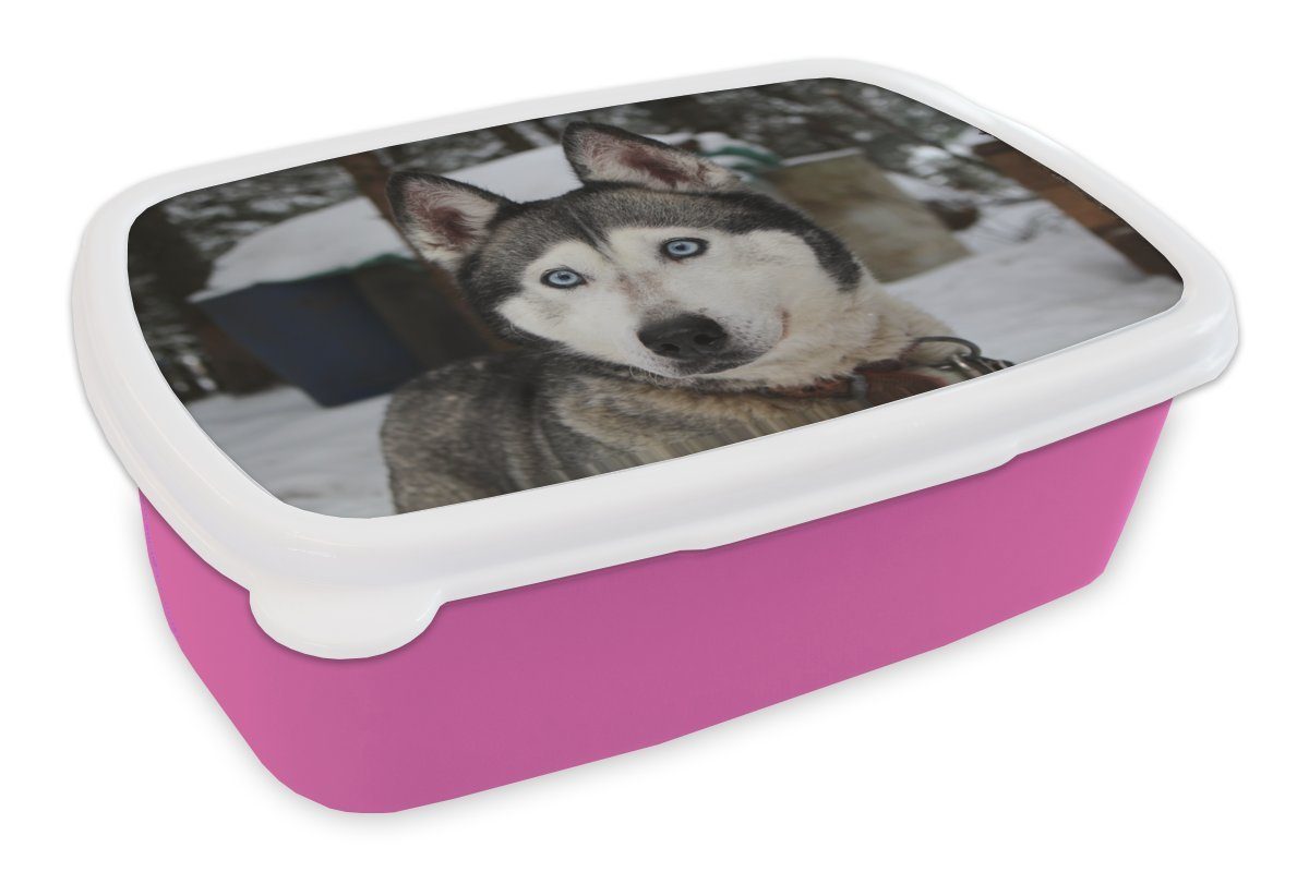MuchoWow Lunchbox - Brotbox Snackbox, Erwachsene, Kinder, für (2-tlg), rosa Kunststoff Brotdose - Kopf, Mädchen, Kunststoff, Schnee Husky