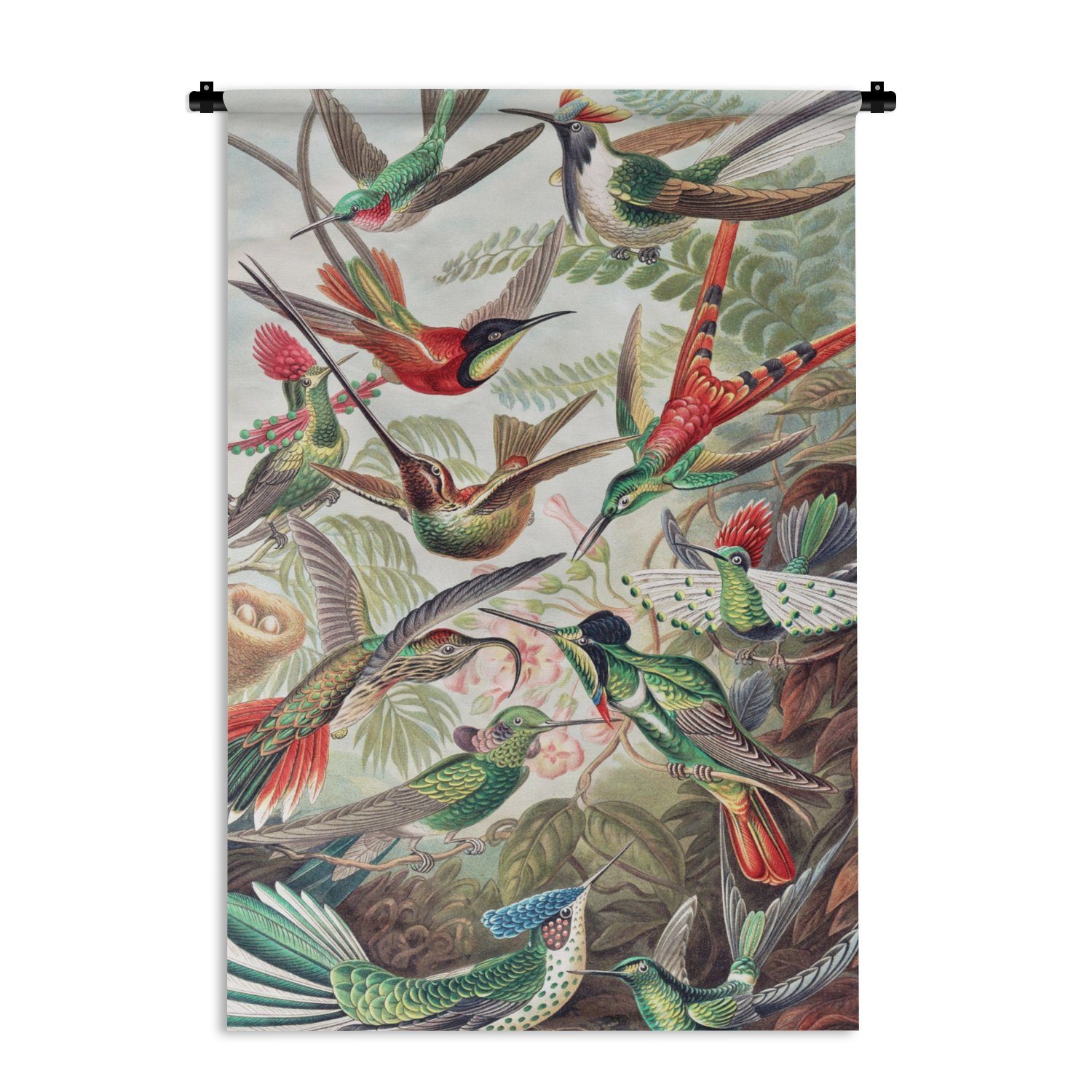 MuchoWow Wanddekoobjekt Kolibri - Vintage - Ernst Haeckel - Vogel - Kunst - Natur, Wanddeko für Wohnzimmer, Schlafzimmer, Kleid, Wandbehang, Kinderzimmer