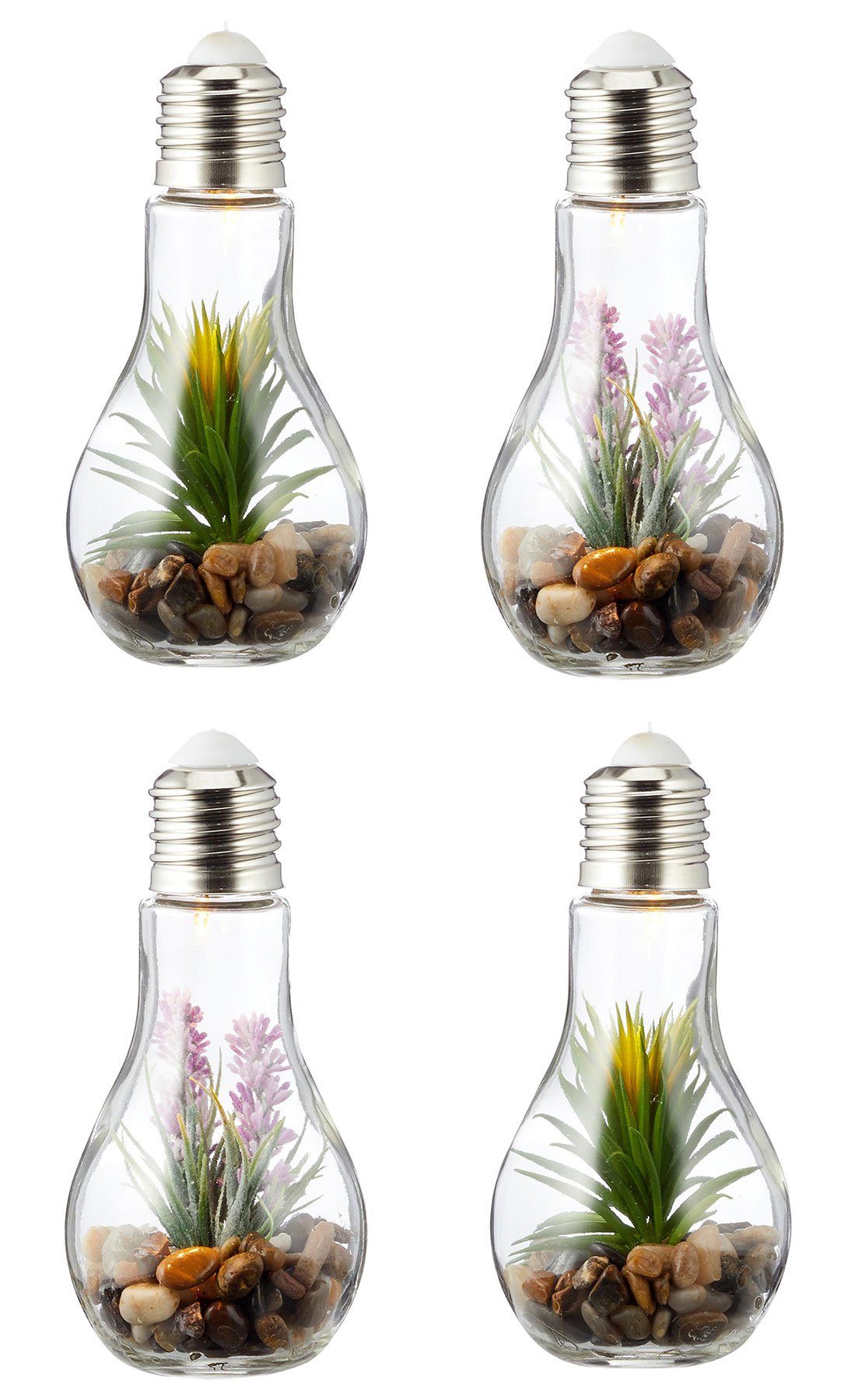 Levandeo® LED Dekoobjekt, 4er Set Sukkulenten Glühbirne Glas je B x H 8 x 1 günstig online kaufen