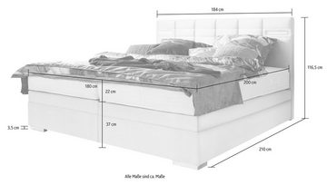 ADA trendline Boxspringbett Luara, in 3 verschiedenen Größen