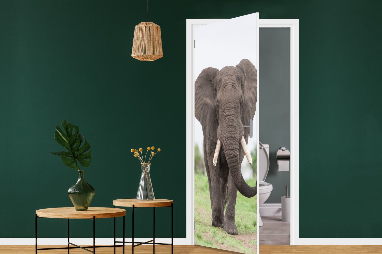 Türaufkleber, Tür, - (1 Elefant Matt, St), Tiere Fototapete MuchoWow cm Gras bedruckt, - für Natur, 75x205 - Türtapete