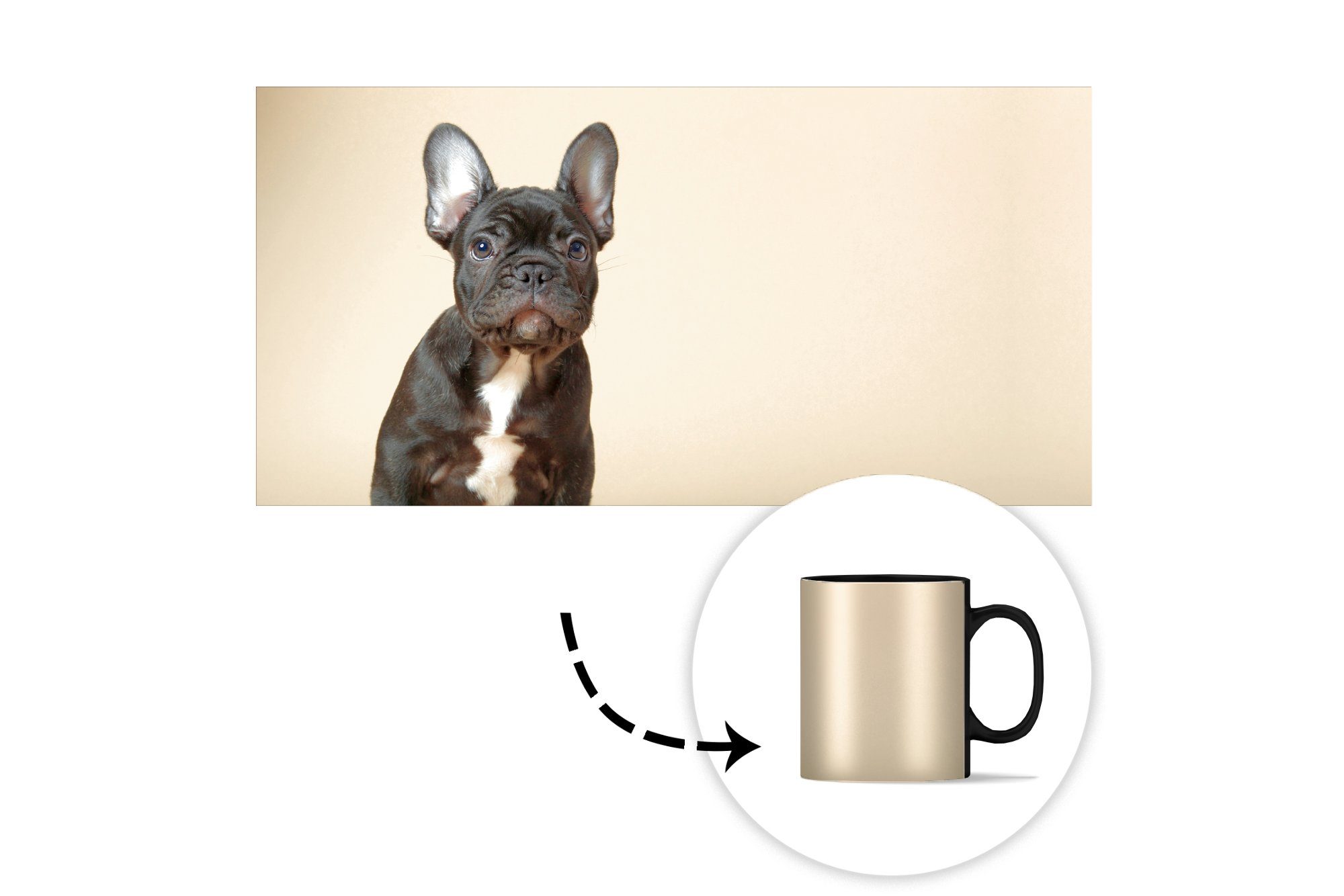 MuchoWow Kaffeetassen, - - Geschenk Beige, Bulldogge Französische Keramik, Farbwechsel, Zaubertasse, Teetasse, Schwarz Tasse