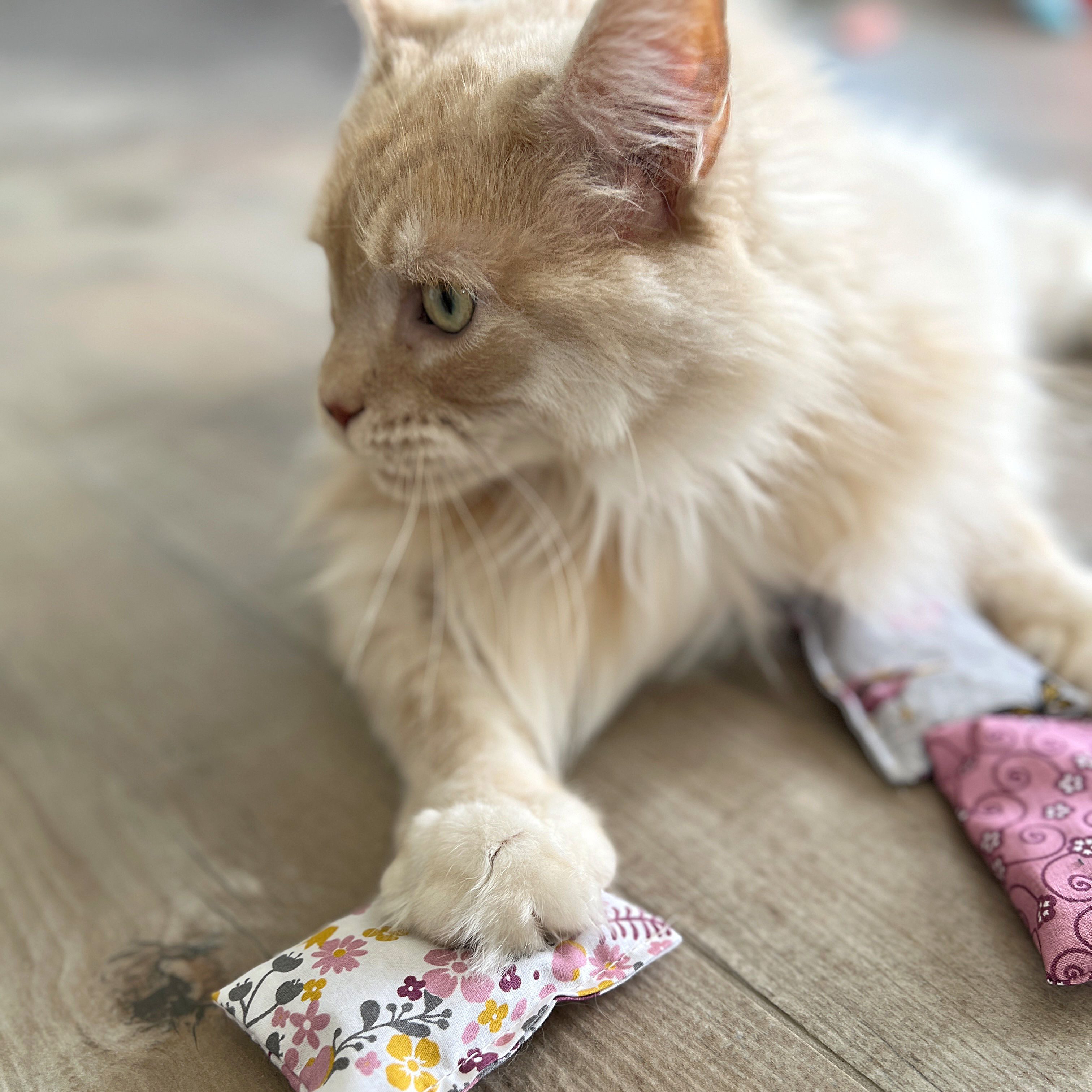 Aumüller Raschelkissen Schmusekissen für Katzen mit Katzenminze, Katzenspielkissen Minzini...