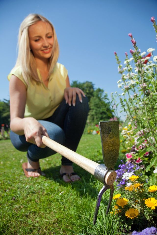 Krumpholz Gartenpflege-Set Krumpholz Gartenhäckchen (geschmiedet), 2 Zinken und 40 cm Eschenstiel