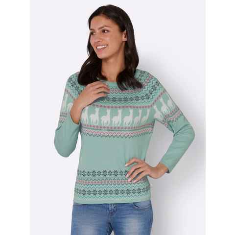 Sieh an! Strickpullover