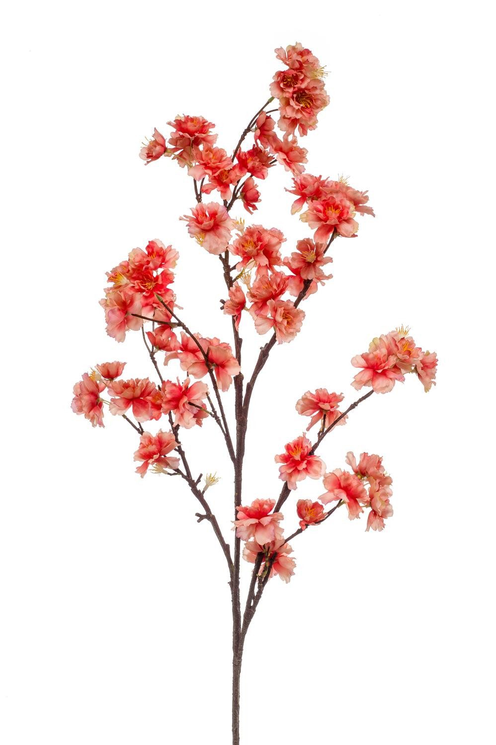 Kunstzweig Deko Kirschblütenzweig GIMA mit Blüten, Koralle, 120cm Zierkirsche, artplants, Höhe 120.0 cm