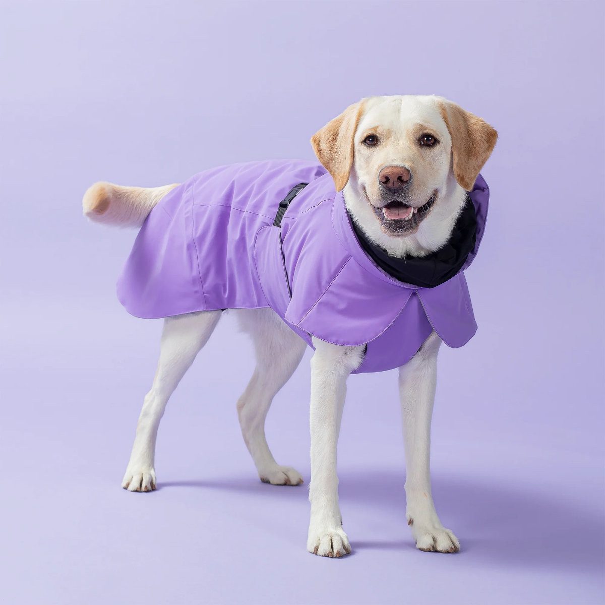 PAIKKA Hundemantel Hunde Winter-Jacke reflektierend "Visibility" lila