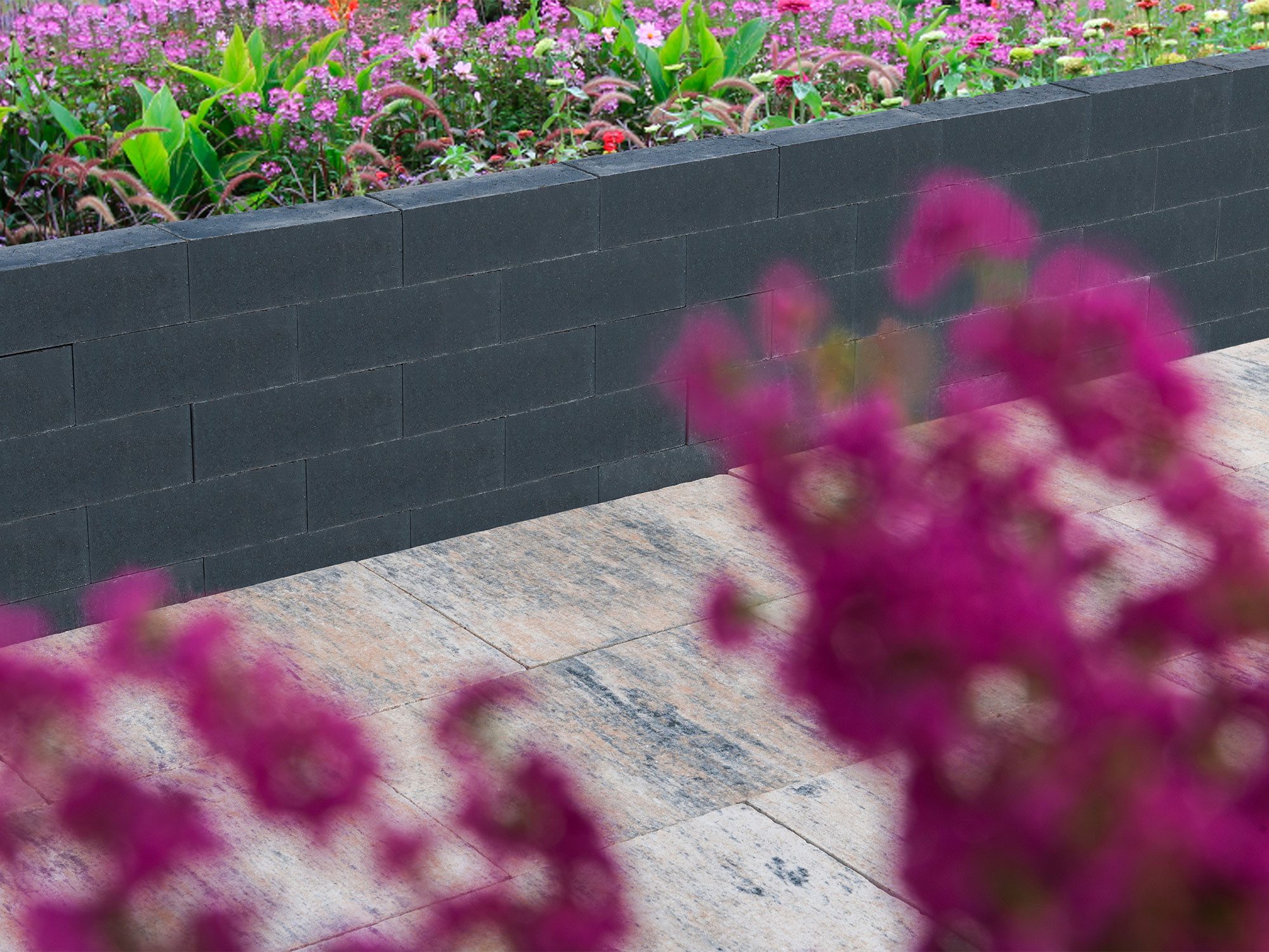 Diephaus Mauerstein BELLANO PICO BASALT 30/10/10 CM