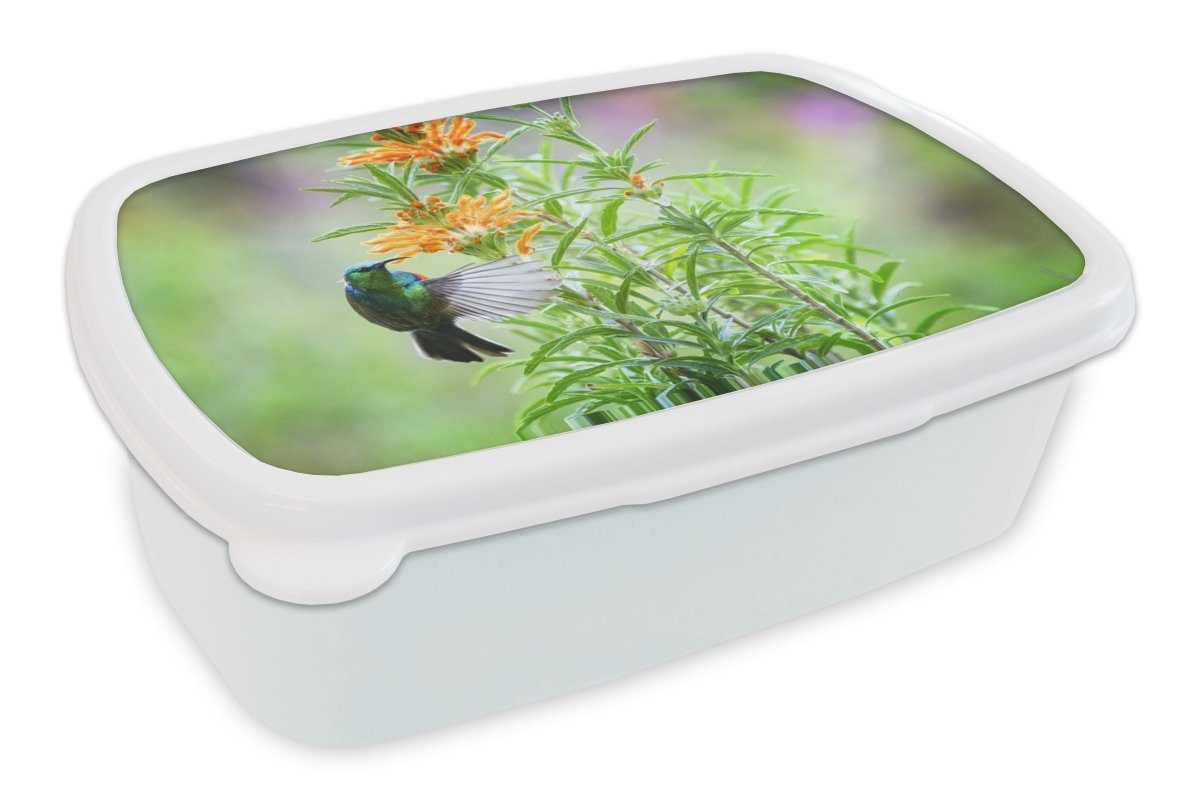(2-tlg), Pflanzen Kunststoff, eines Jungs Kinder Brotbox Nahaufnahme MuchoWow Lunchbox Vogels Mädchen bunten Brotdose, Erwachsene, mit orangefarbenen, und für neben für und weiß