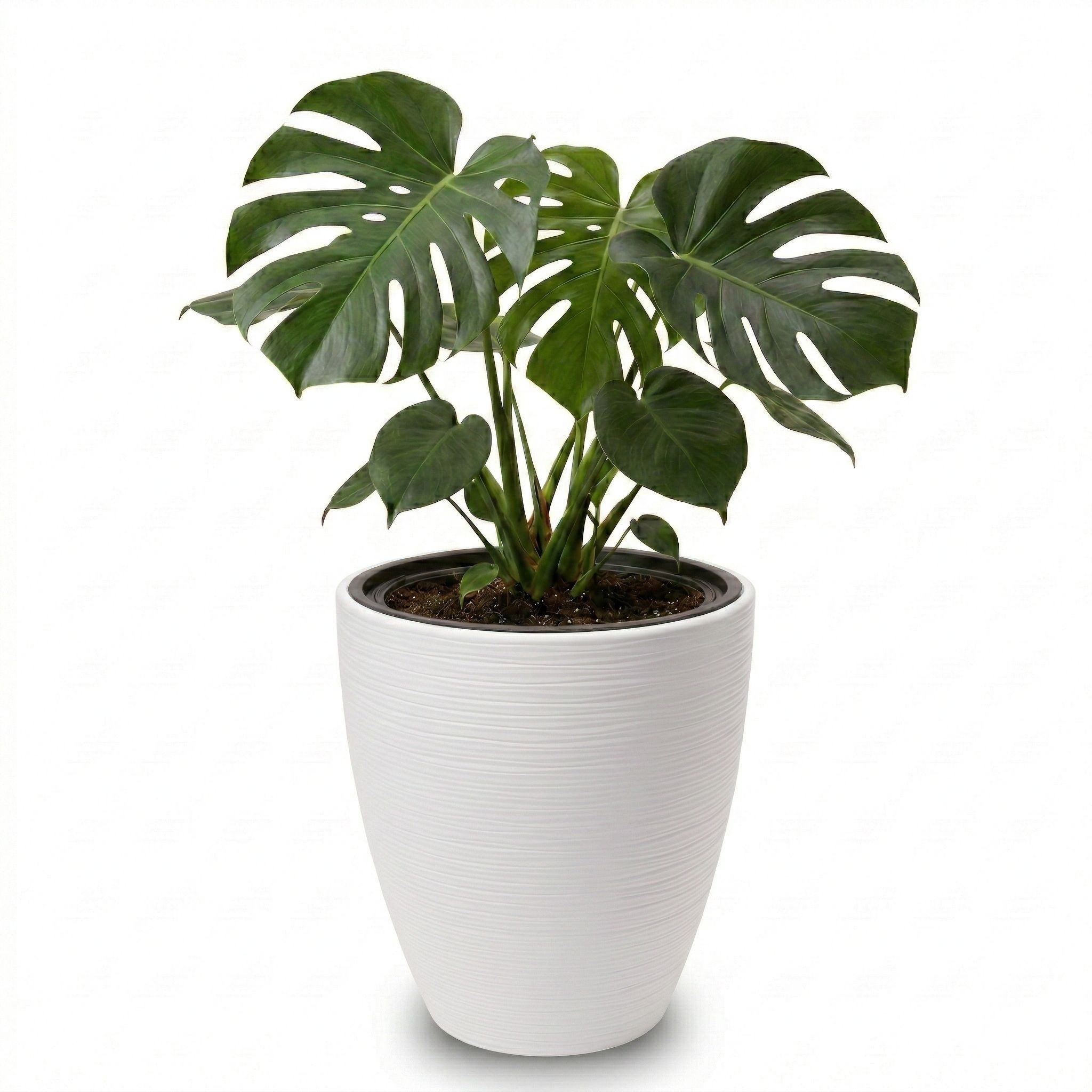 matches21 HOME & HOBBY Blumentopf Großer Outdoor Blumentopf CALMO licht-grau in 29 x 32 cm (1 St), Runder innen, außen Pflanztopf als wetterfester Pflanzen-Topf