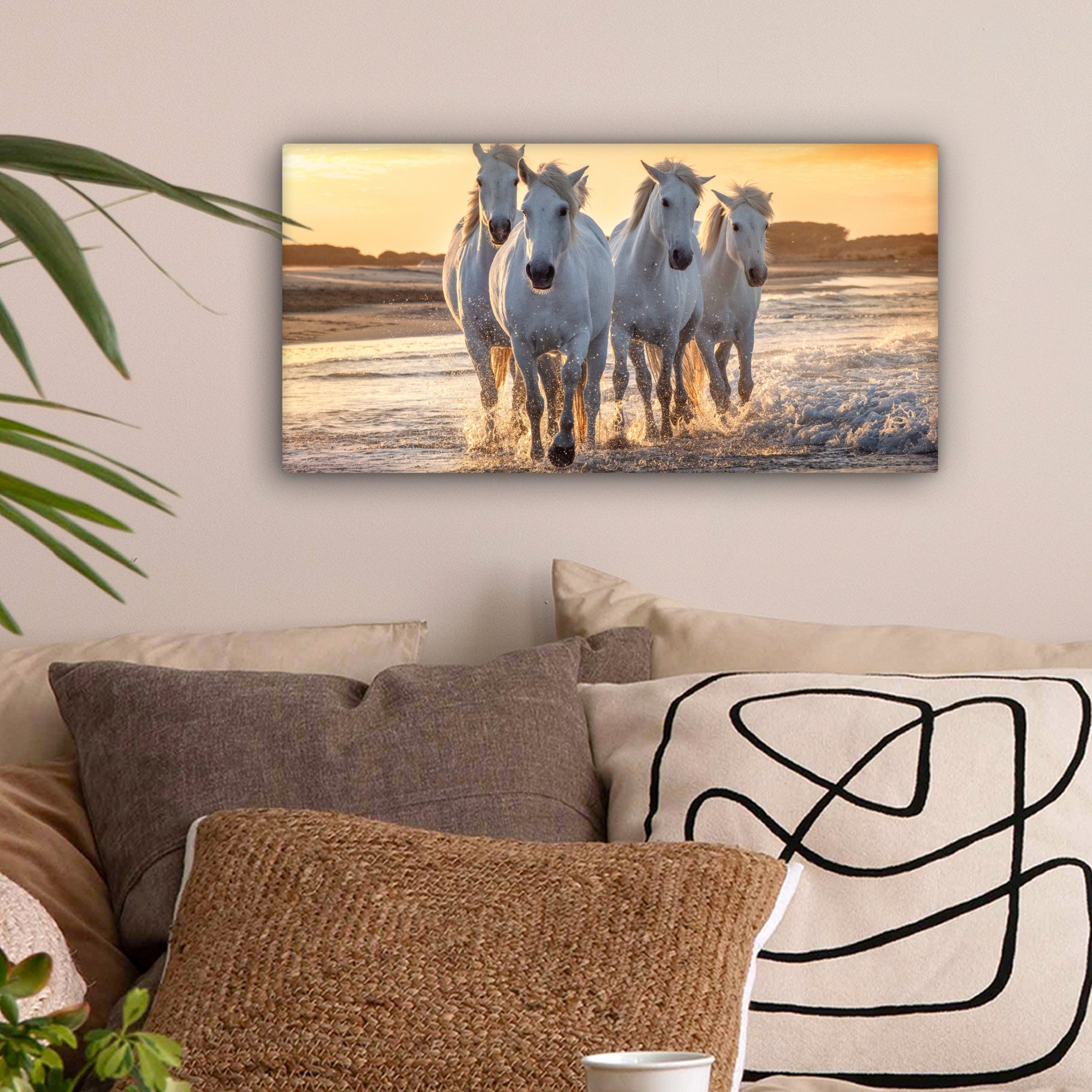 OneMillionCanvasses® Leinwandbild Panorama Pferde - Wasser günstig online kaufen
