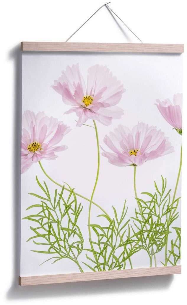 Poster (1 St) Sommerblume, Blumen Wall-Art