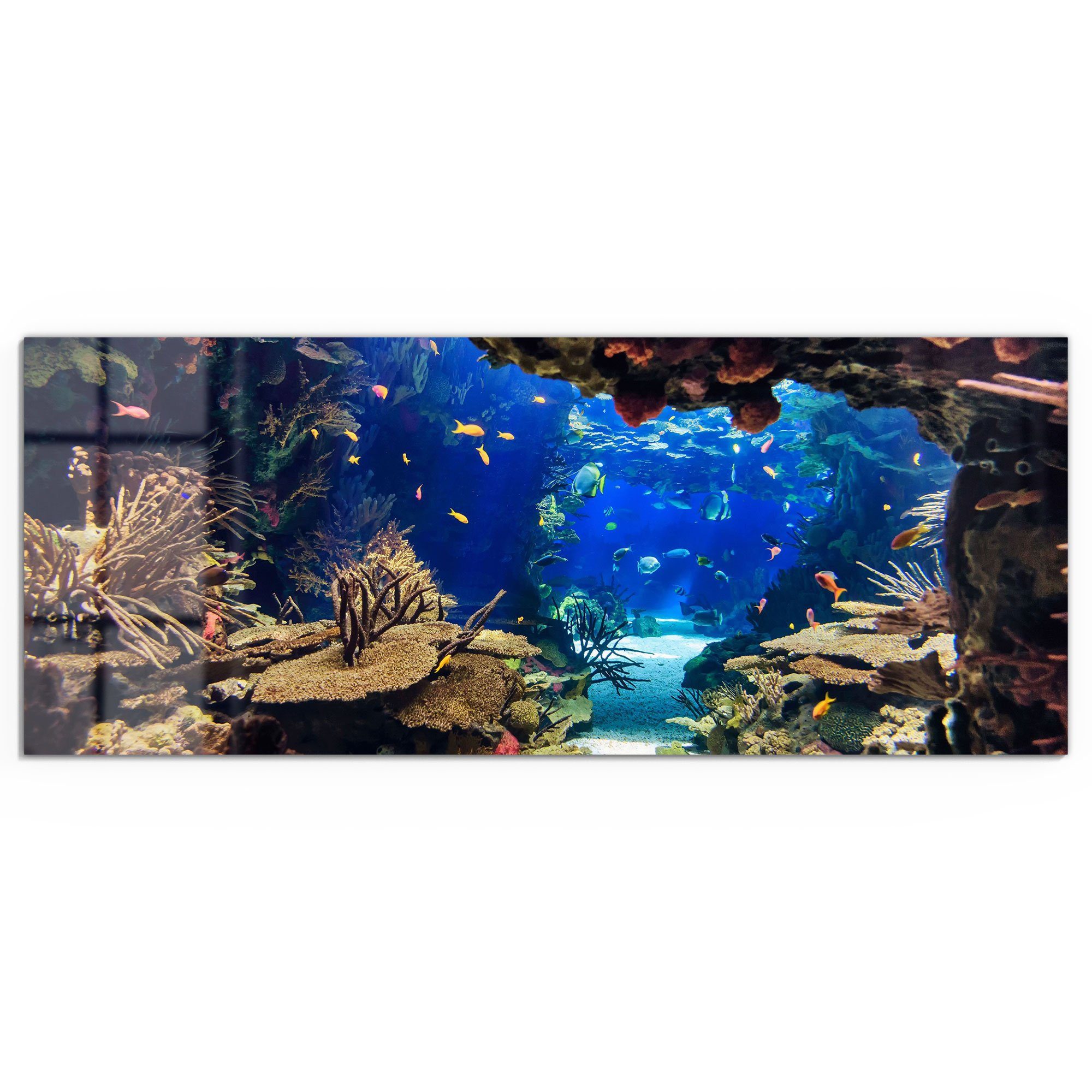 DEQORI Glasbild 'Exotisches Aquarium', 'Exotisches Aquarium', günstig online kaufen
