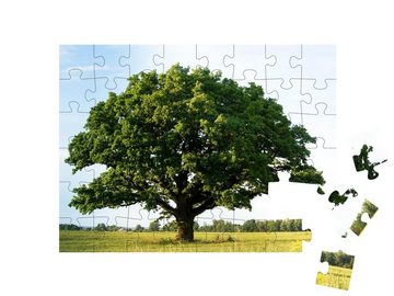 puzzleYOU Puzzle Einsame grüne Eiche auf dem Feld, 48 Puzzleteile, puzzleYOU-Kollektionen Bäume, Pflanzen, Wald & Bäume