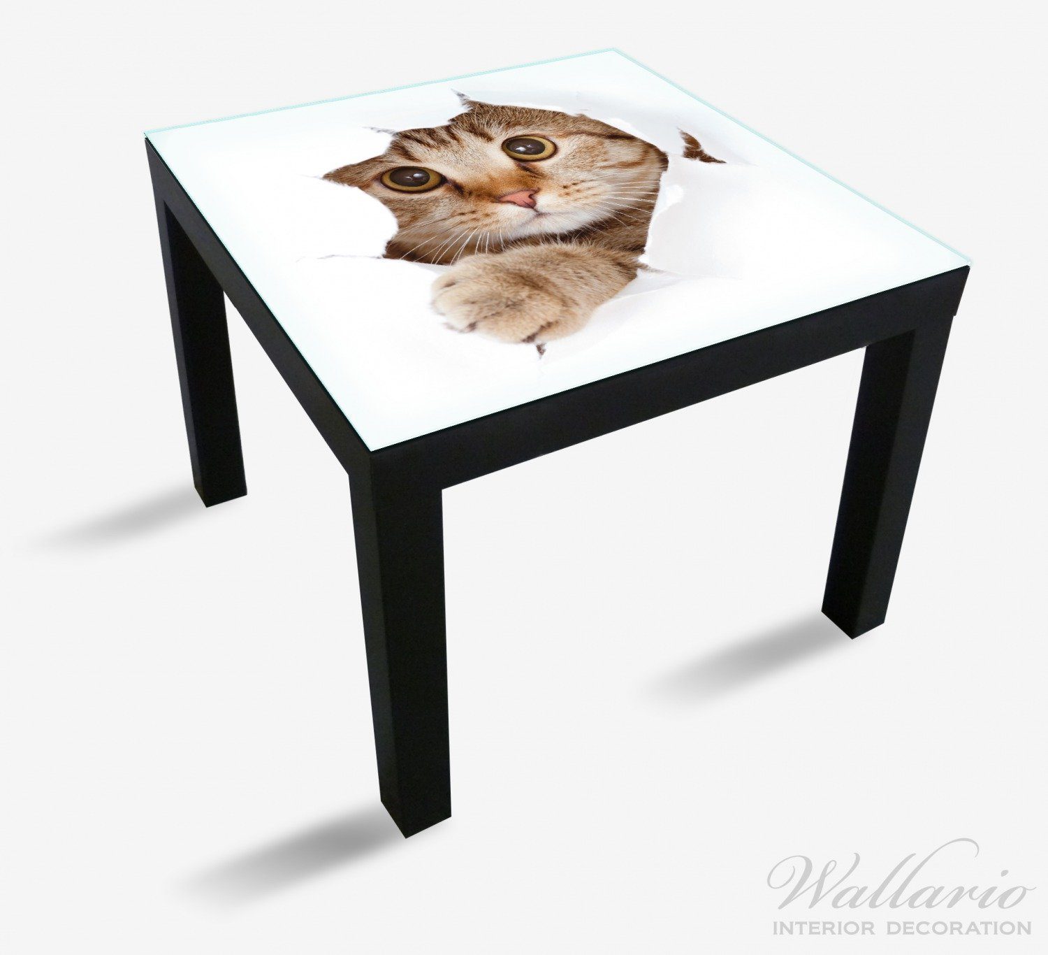 Wallario Tischplatte Katze Ikea St), für mit geeignet Lack (1 nach Blick Tisch vorn