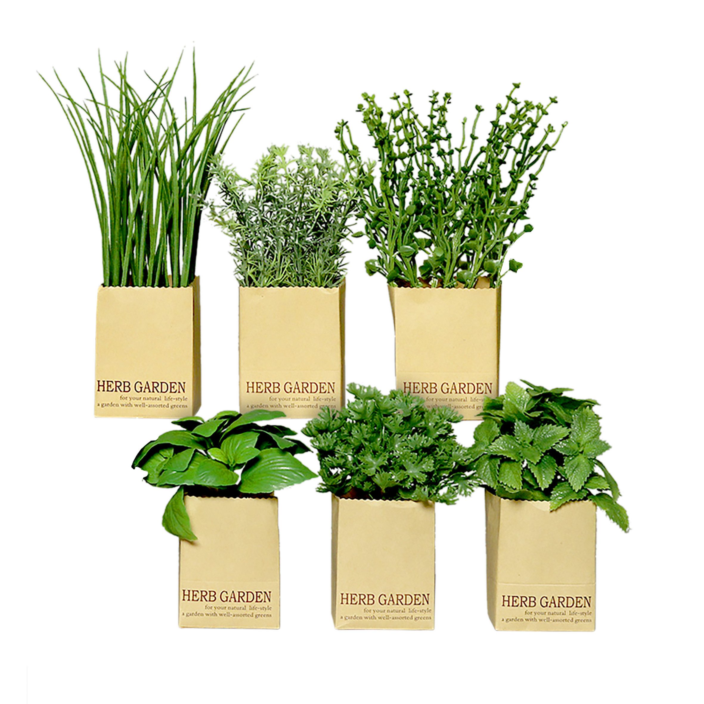 Kunstpflanze Künstliches Kräuter Sortiment - 6er Set Schnittlauch, Petersil günstig online kaufen