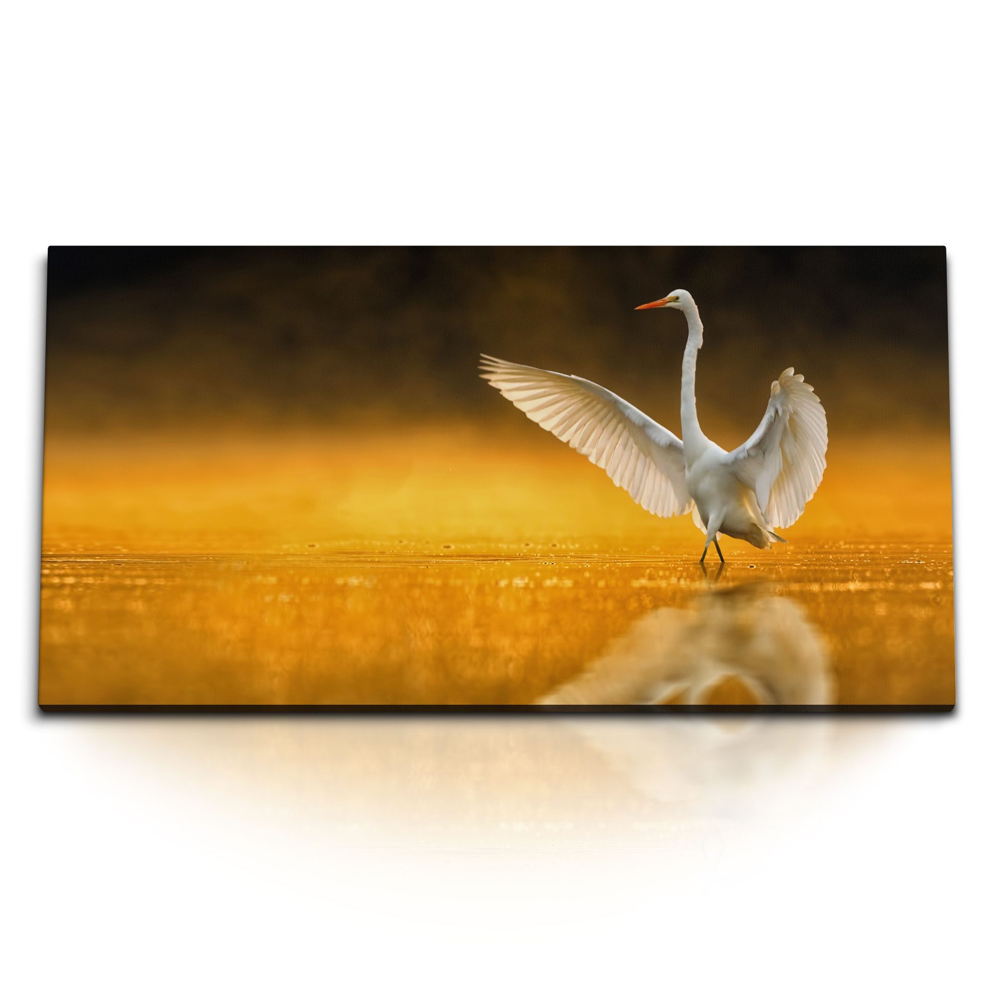 Leinwandbild Kunstdruck Bilder 120x60cm Silberreiher Abendröte Tierfotografie Natur