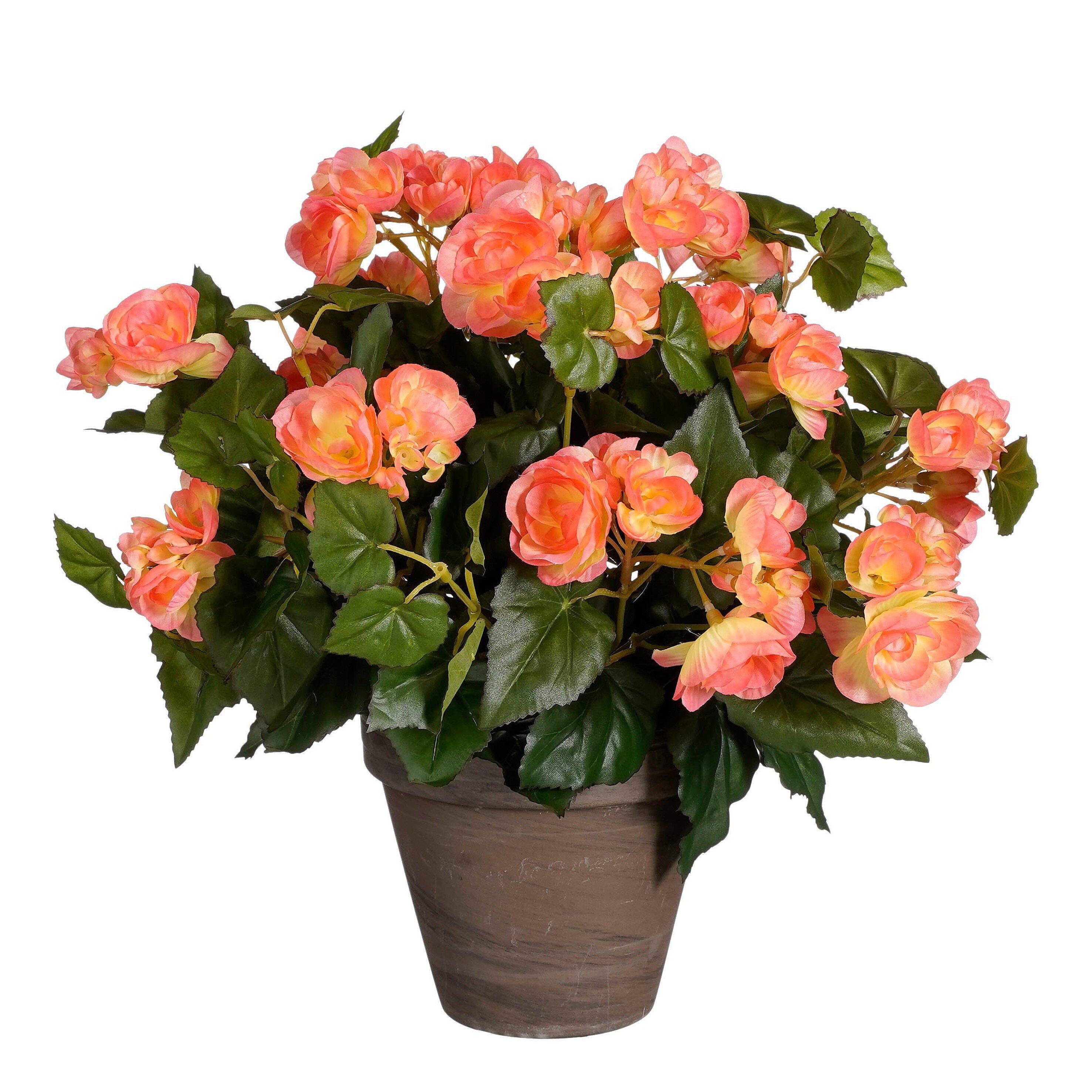 Kunstpflanze Mica Decorations Begonie lachs in Topf Stan grau d15,5cm - h37xd36cm, Mica Decorations, Höhe 37 cm