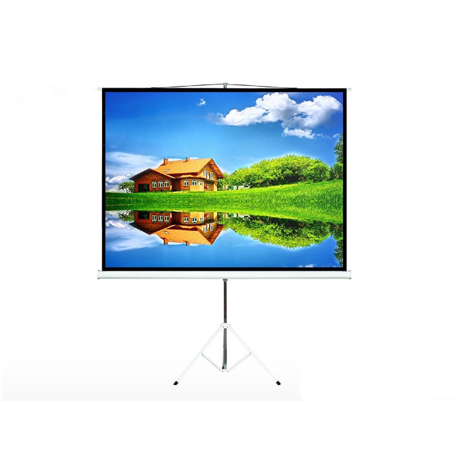 Maclean Leinwand MC-680, TV Stativleinwand 112" 1:1 200x200